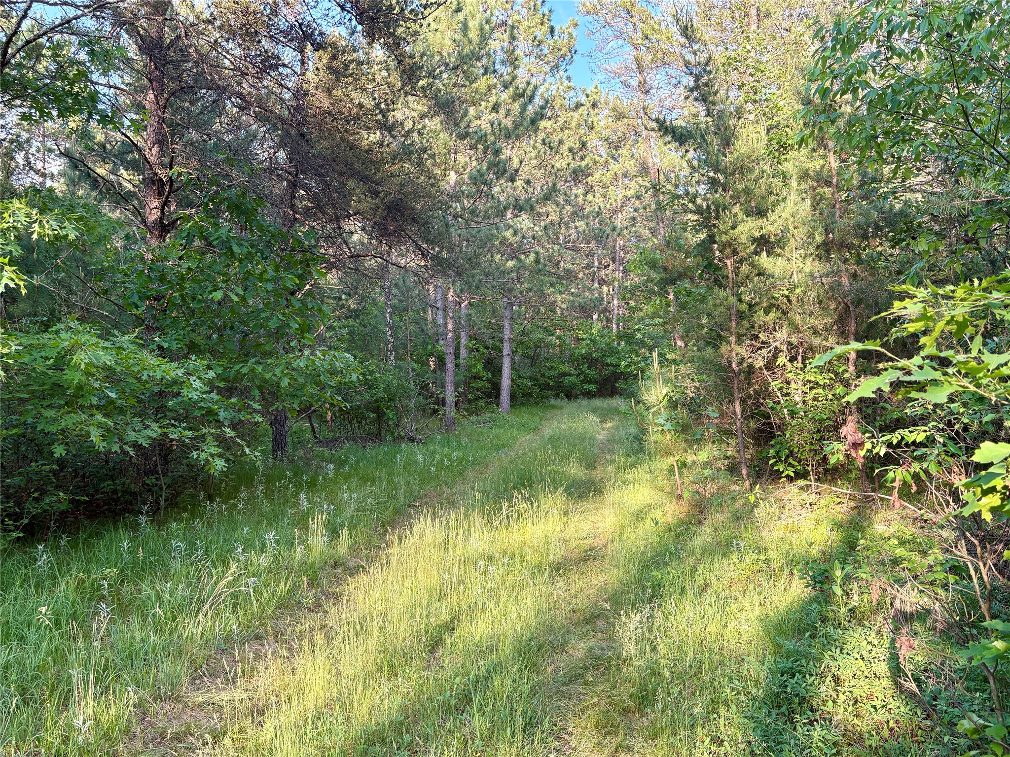 0 County Road Gg Property Photo 44