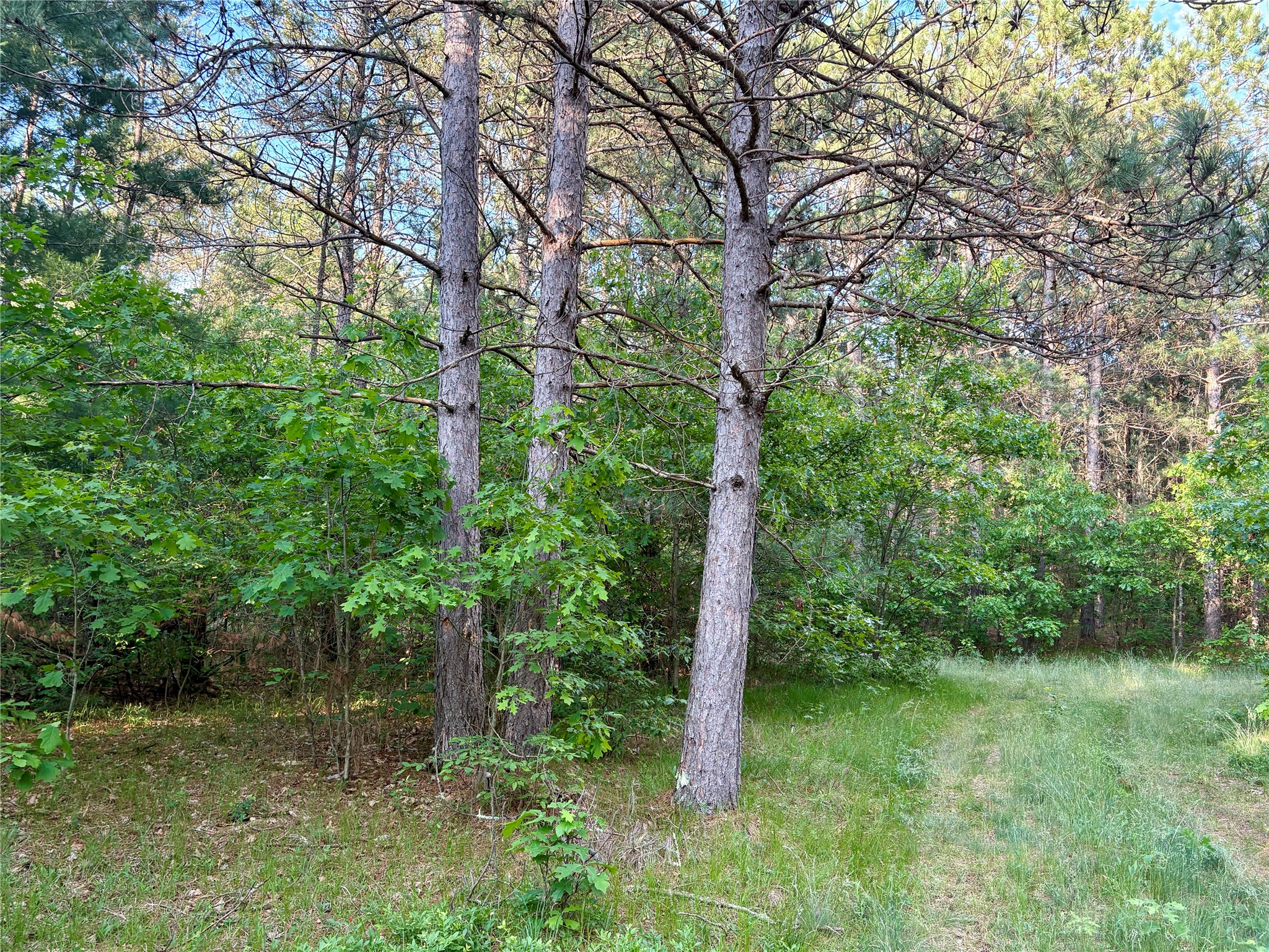 0 County Road Gg Property Photo 45