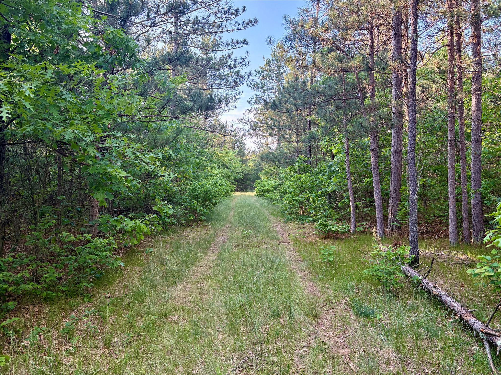 0 County Road Gg Property Photo 46