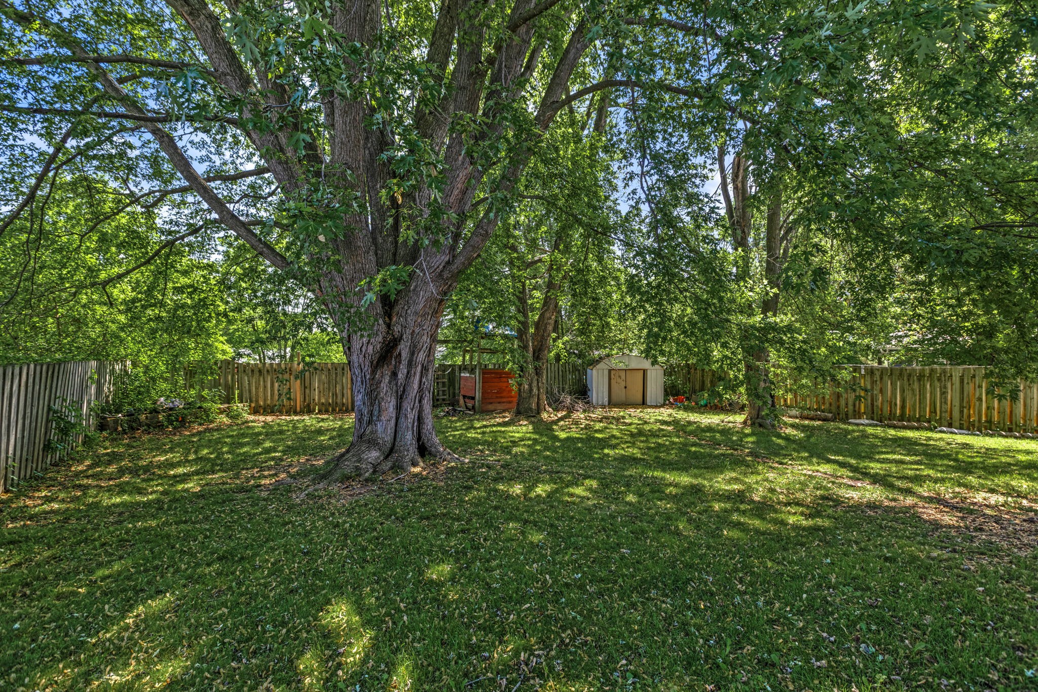 203 Cameron Road Property Photo 34