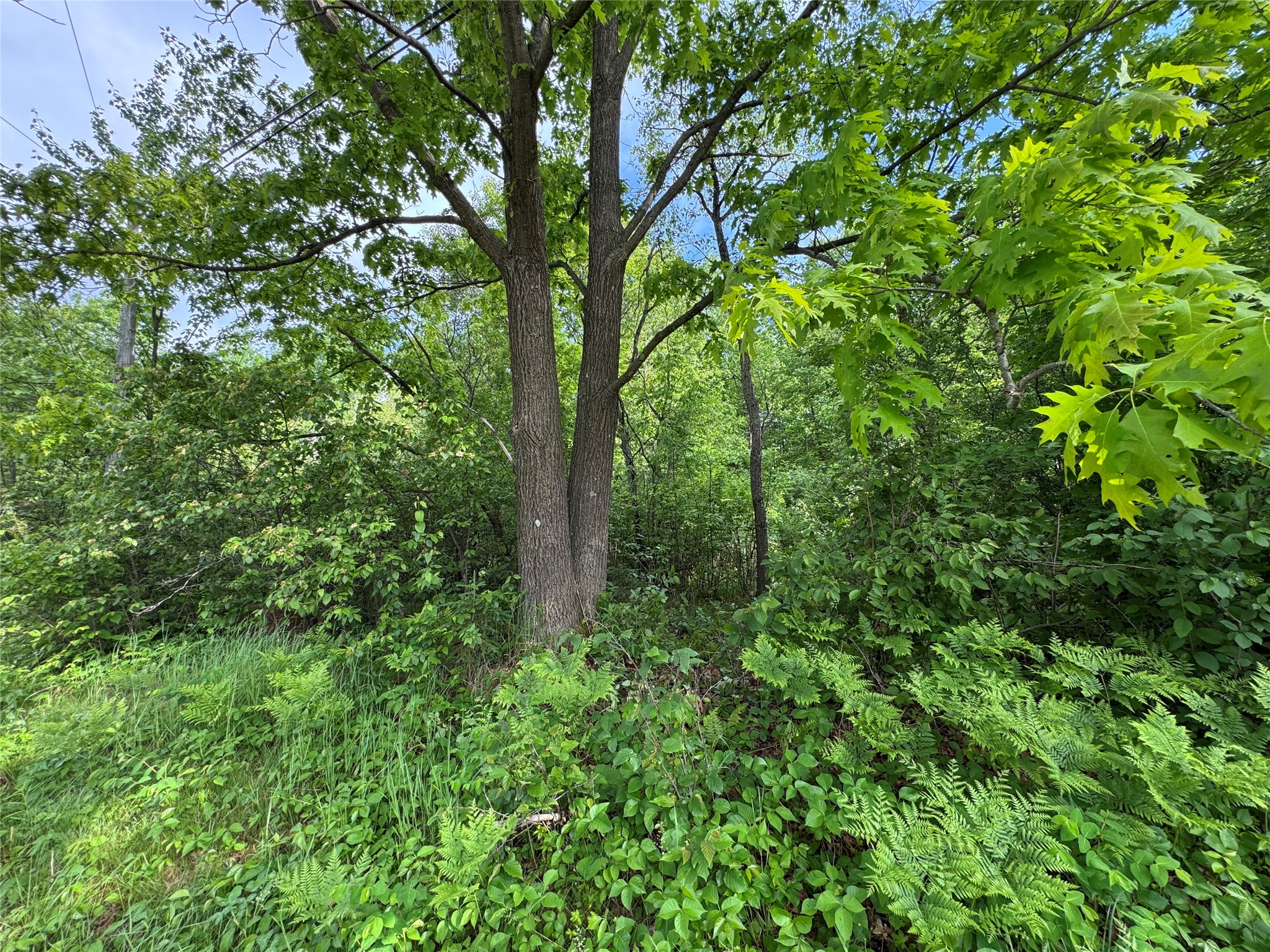 000 Boundary Road Property Photo 4
