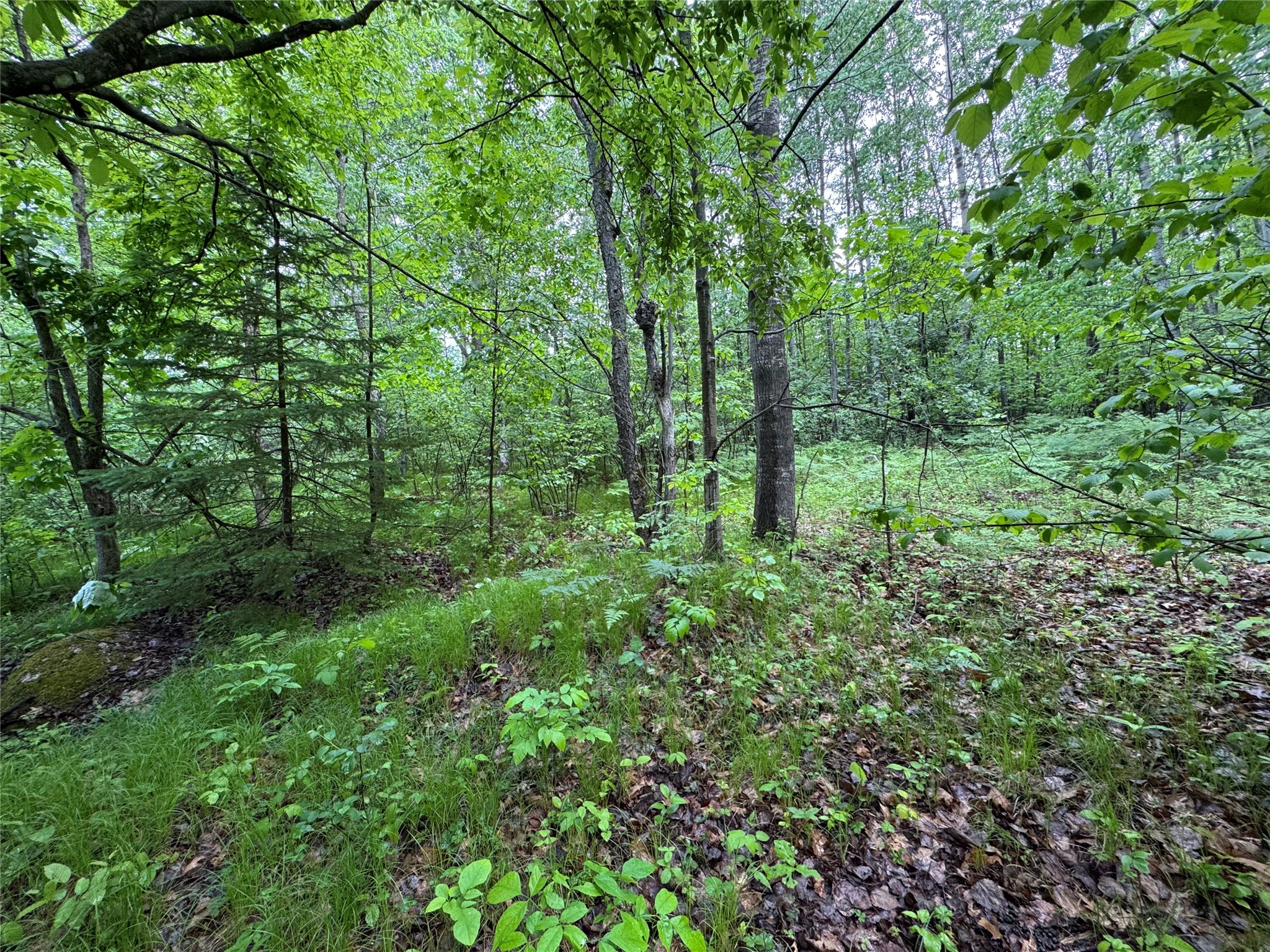 000 Boundary Road Property Photo 7