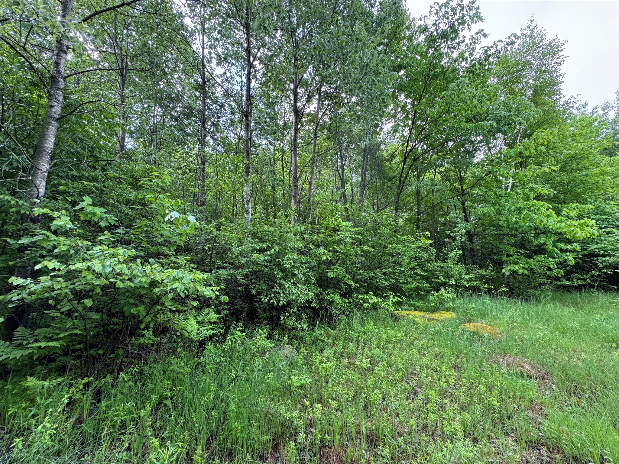 000 Boundary Road Property Photo 9