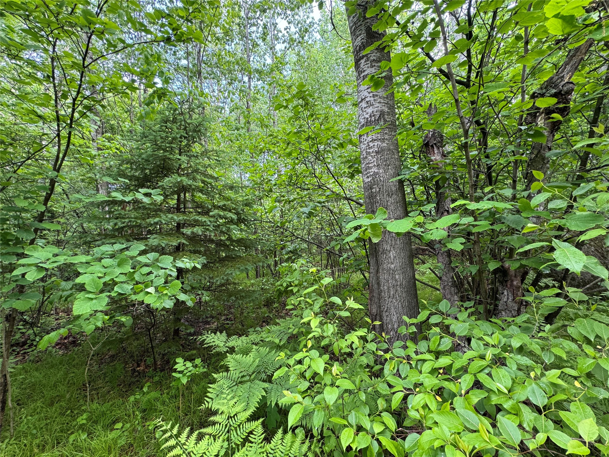 000 Boundary Road Property Photo 10