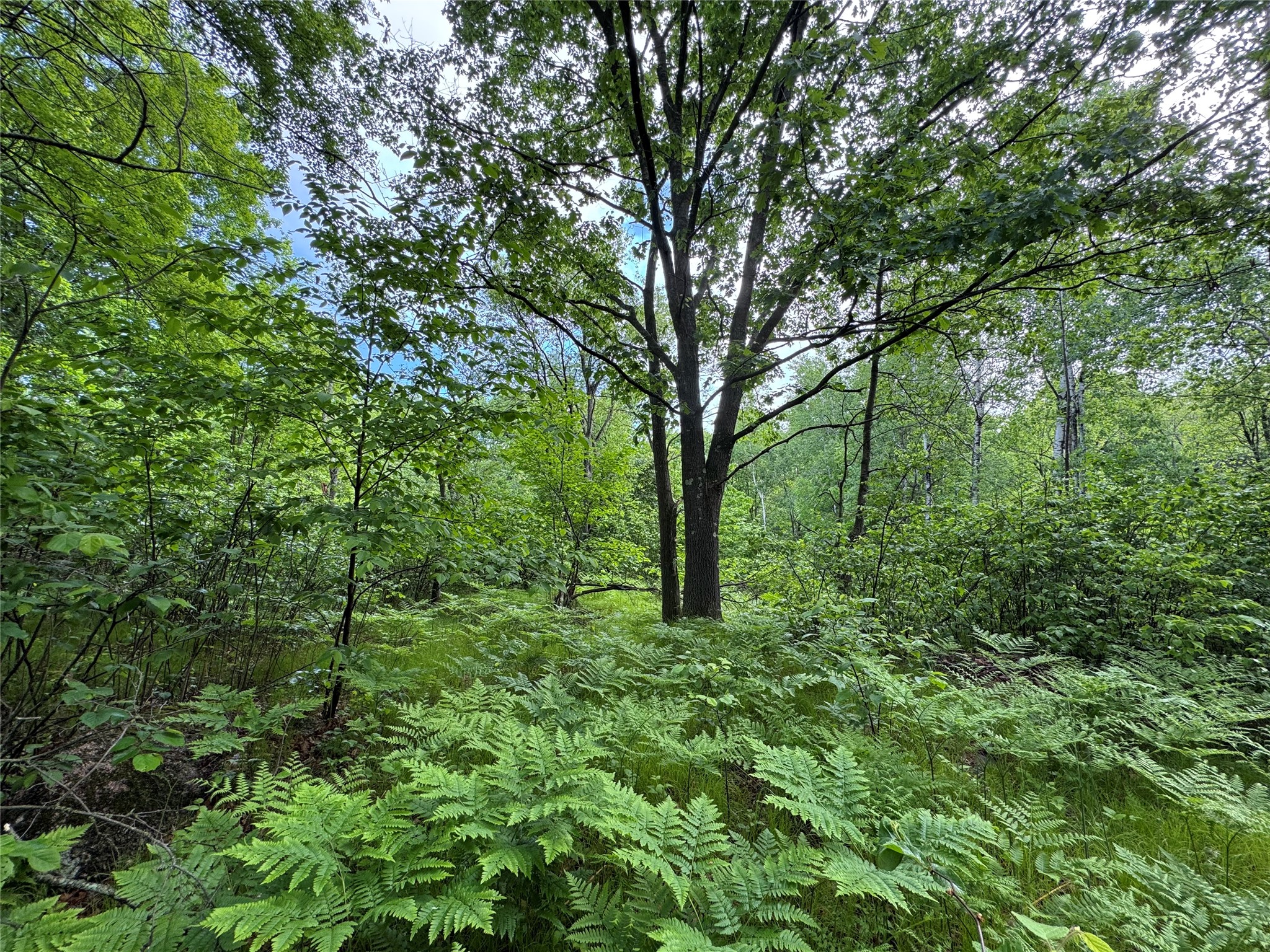 000 Boundary Road Property Photo 4