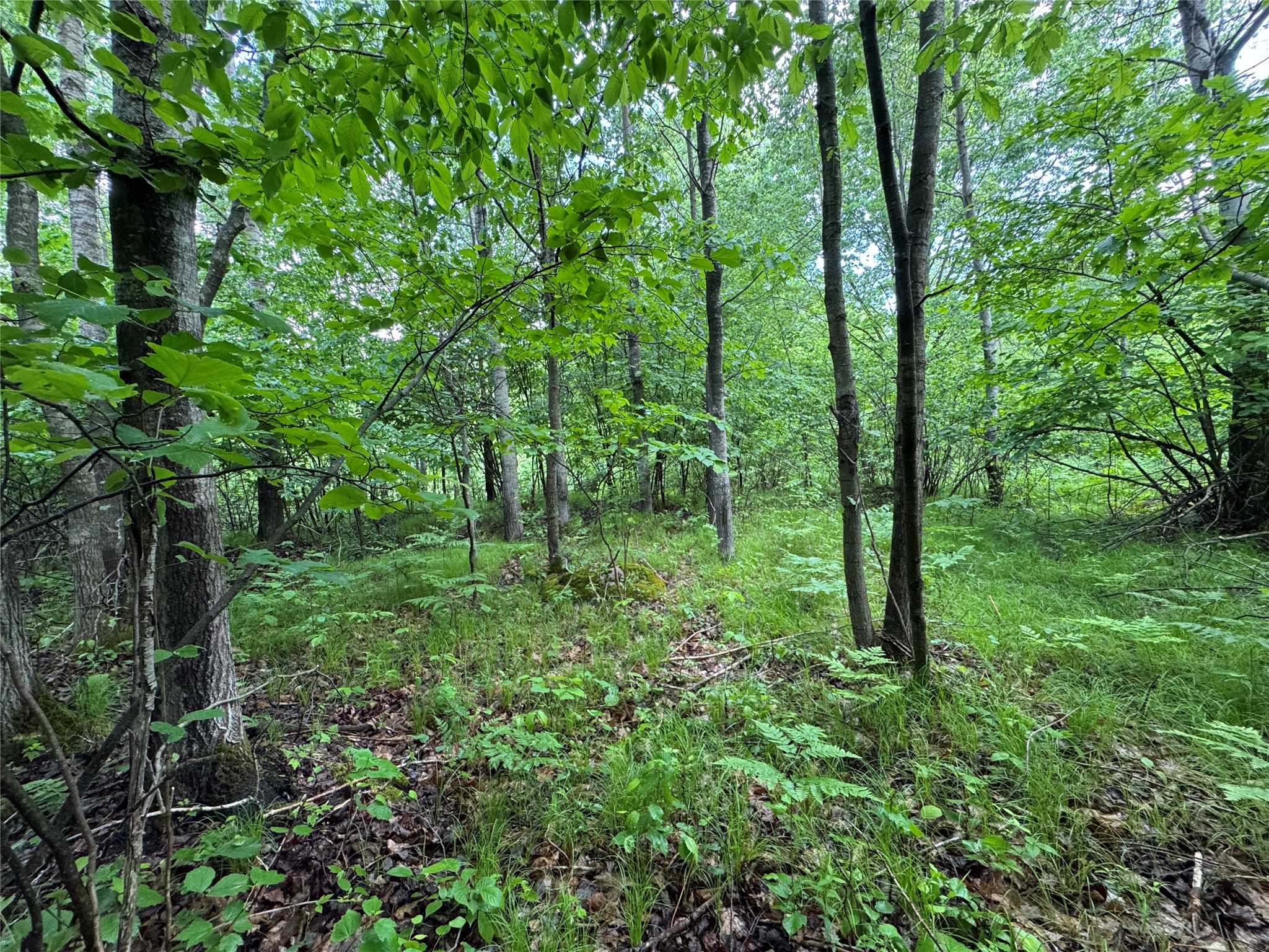 000 Boundary Road Property Photo 8