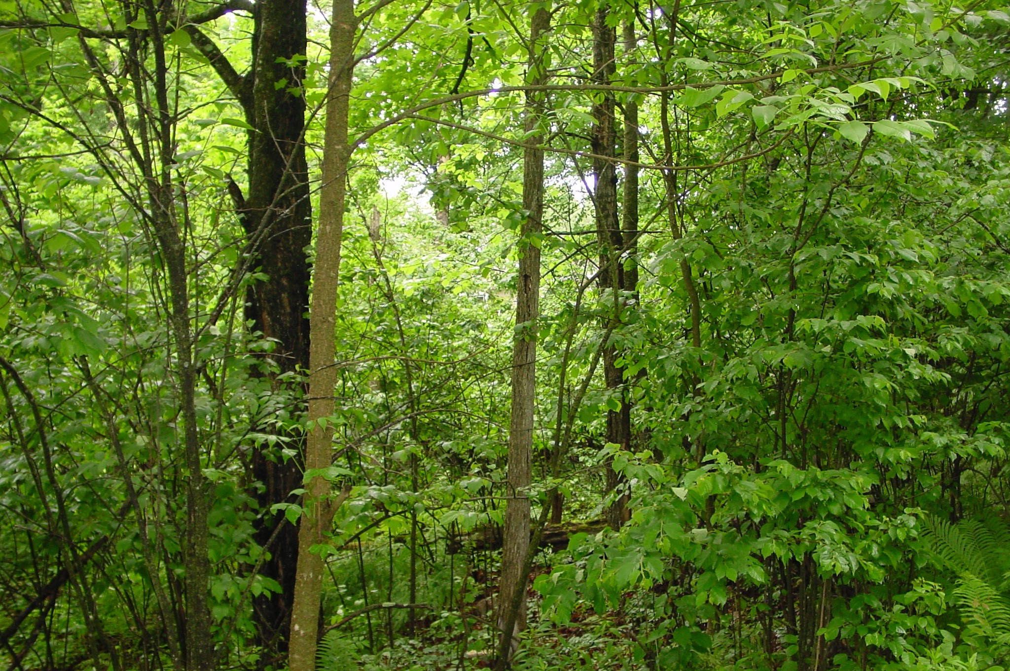N6659 Kaiser Road Property Photo 33