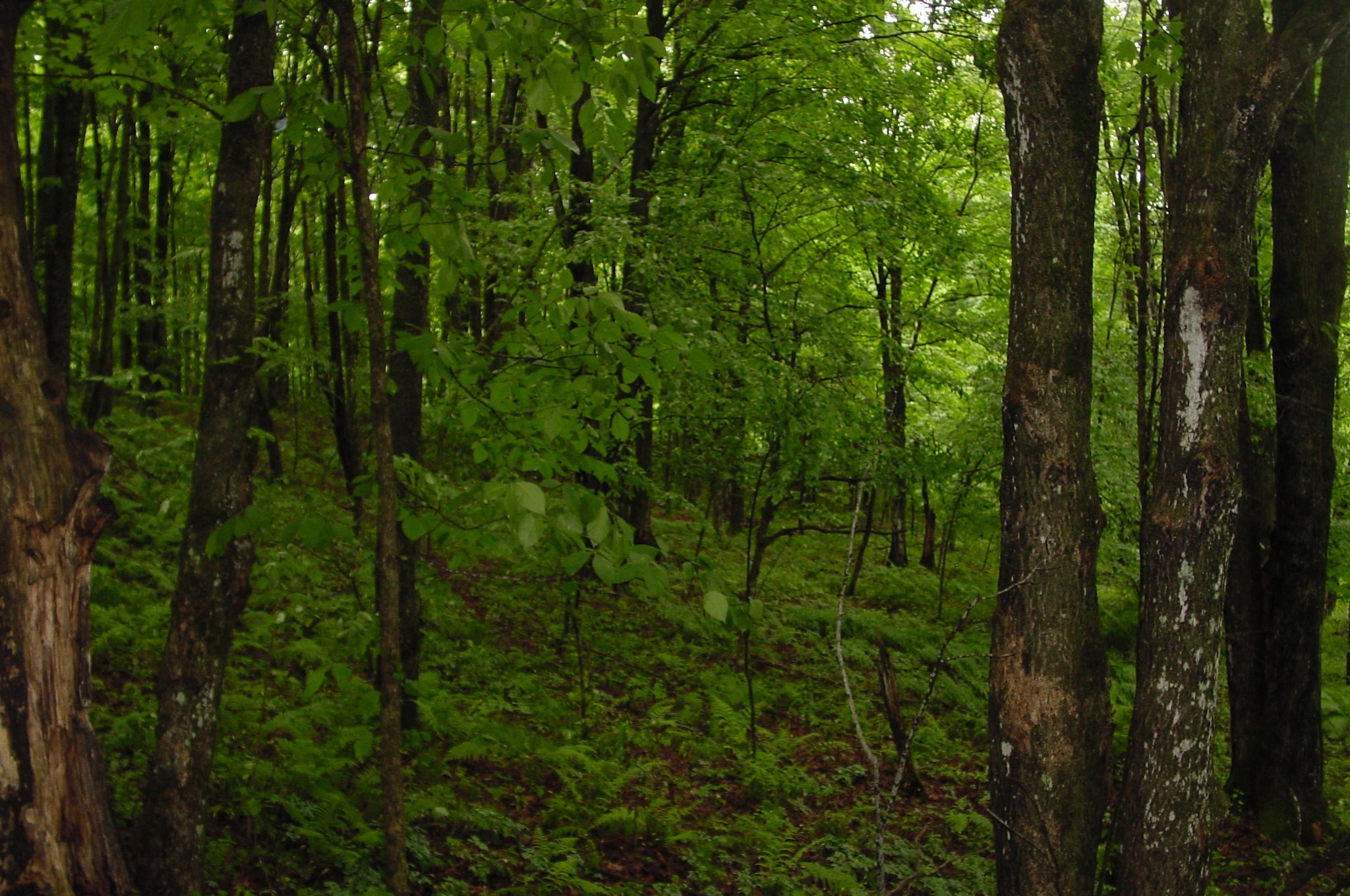 N6659 Kaiser Road Property Photo 35