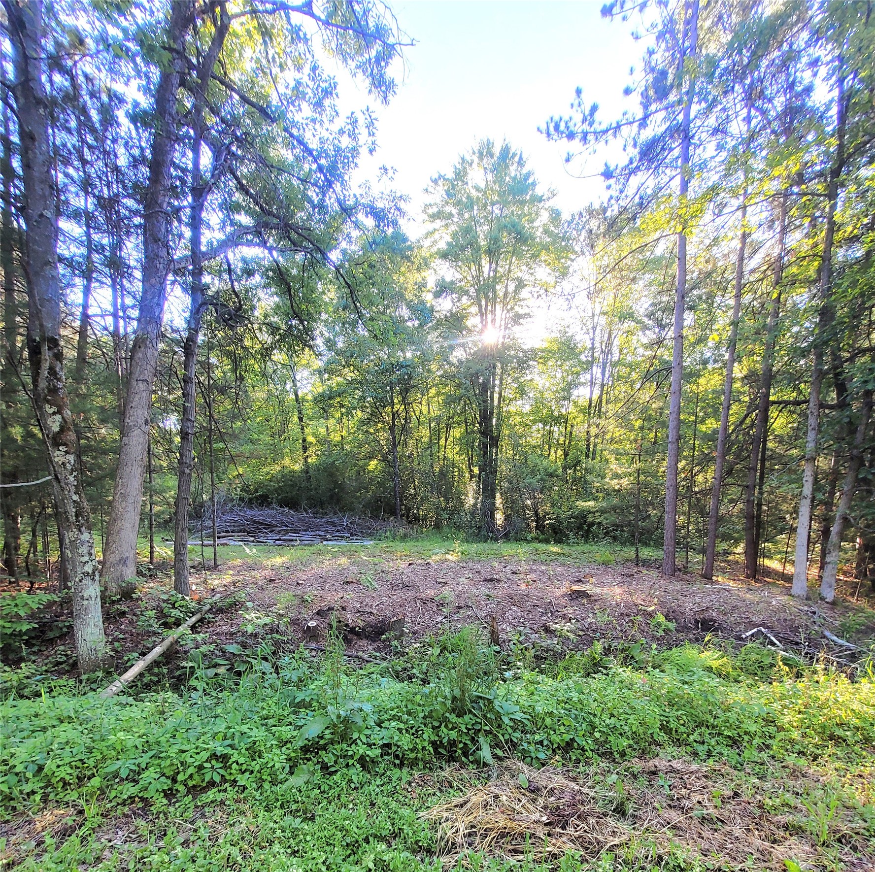 0 Lot 6 Old Highway12 Property Photo 1