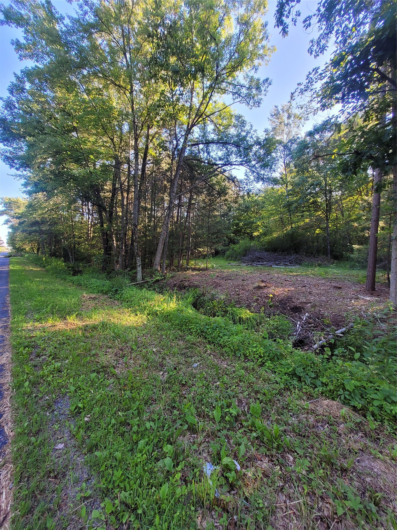 0 Lot 6 Old Highway12 Property Photo 2