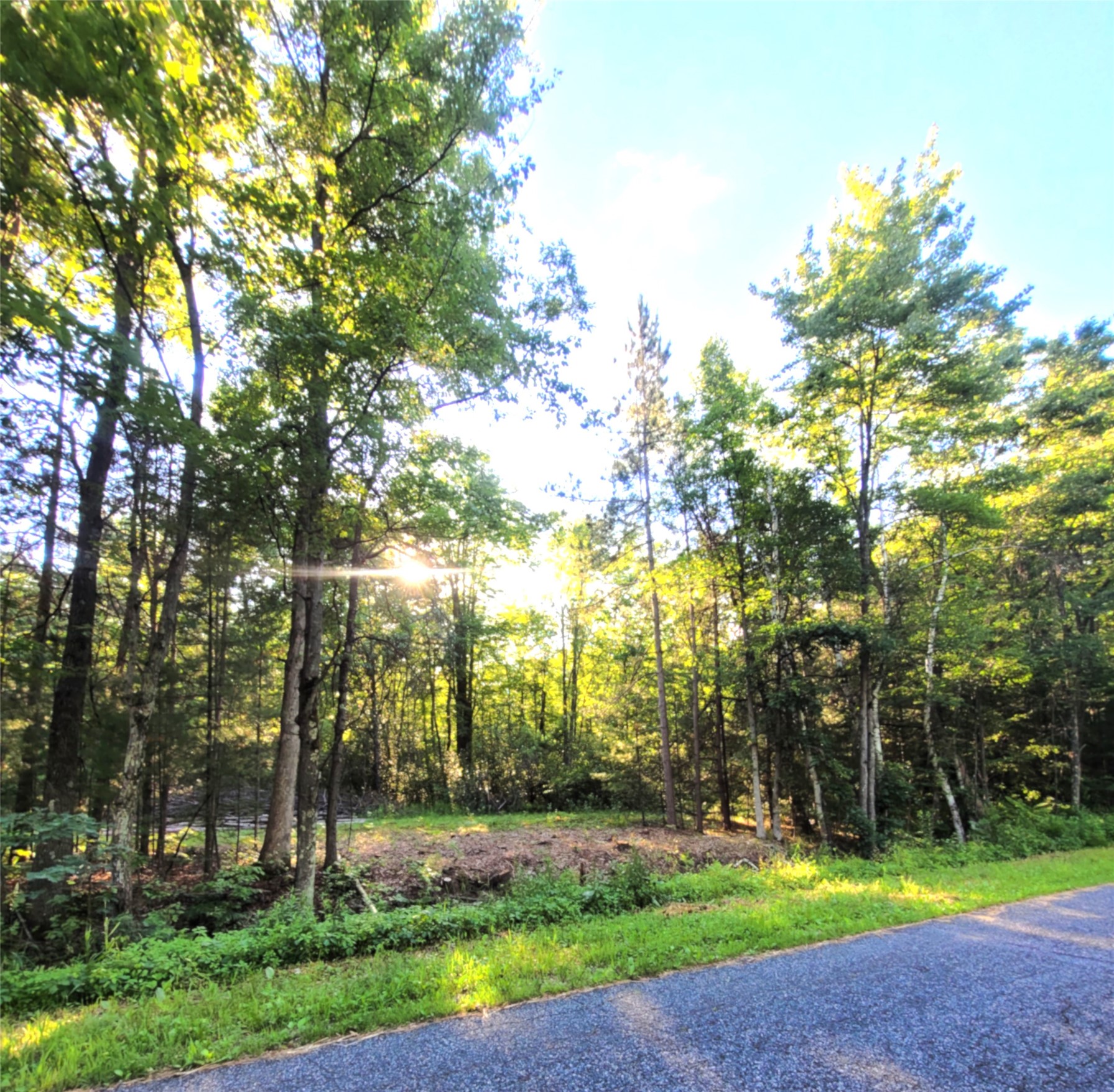 0 Lot 6 Old Highway12 Property Photo 3