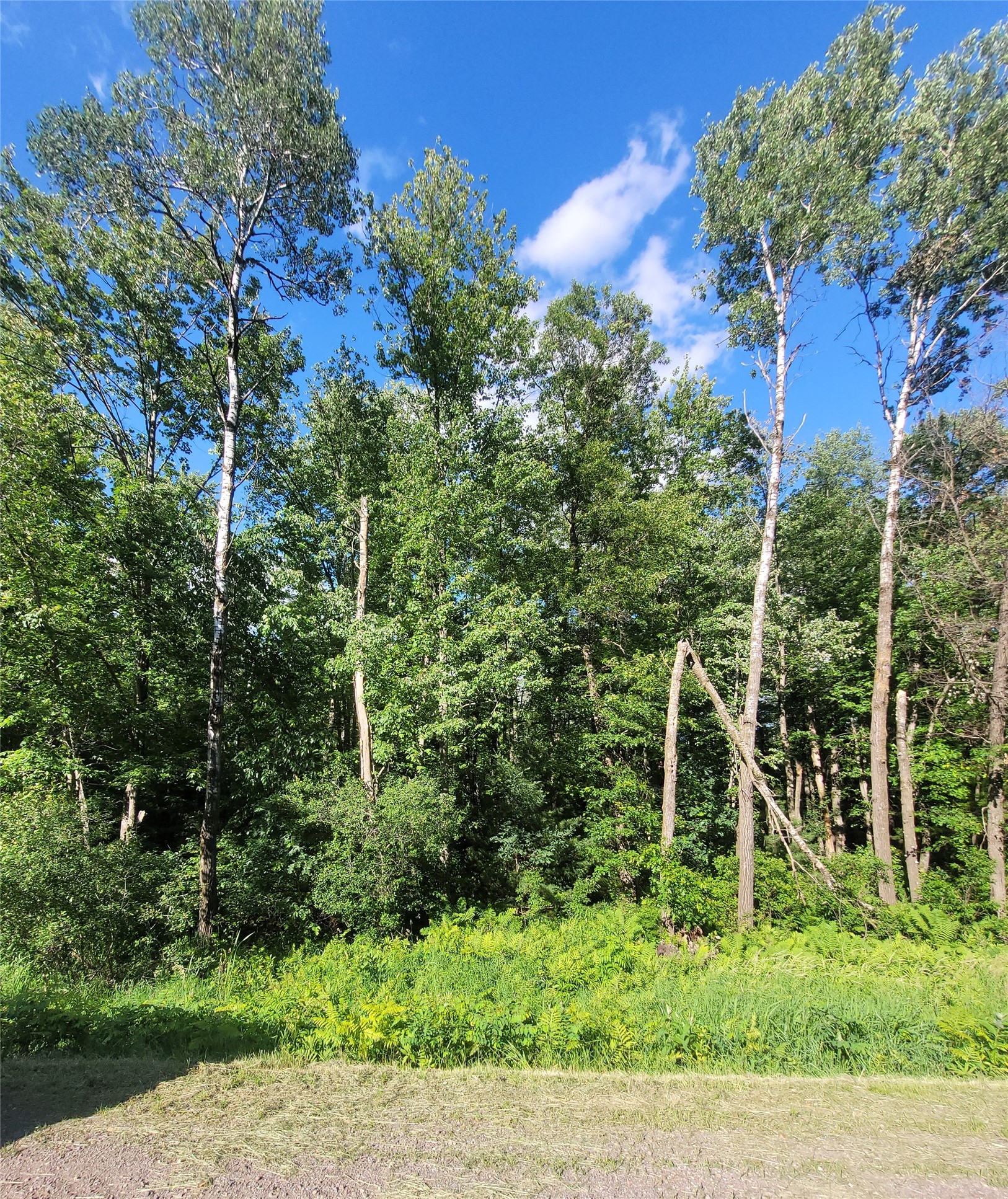 0 Lot 6 Old Highway12 Property Photo 5