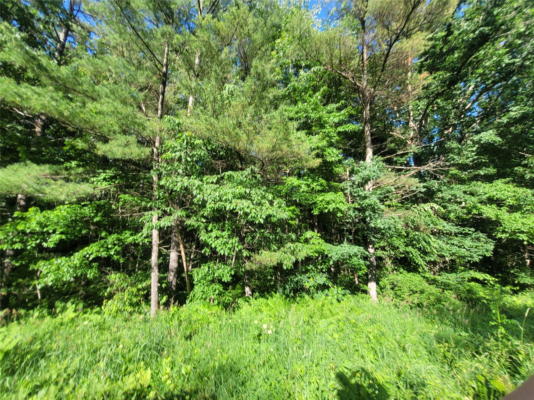 0 Lot 6 Old Highway12 Property Photo 6