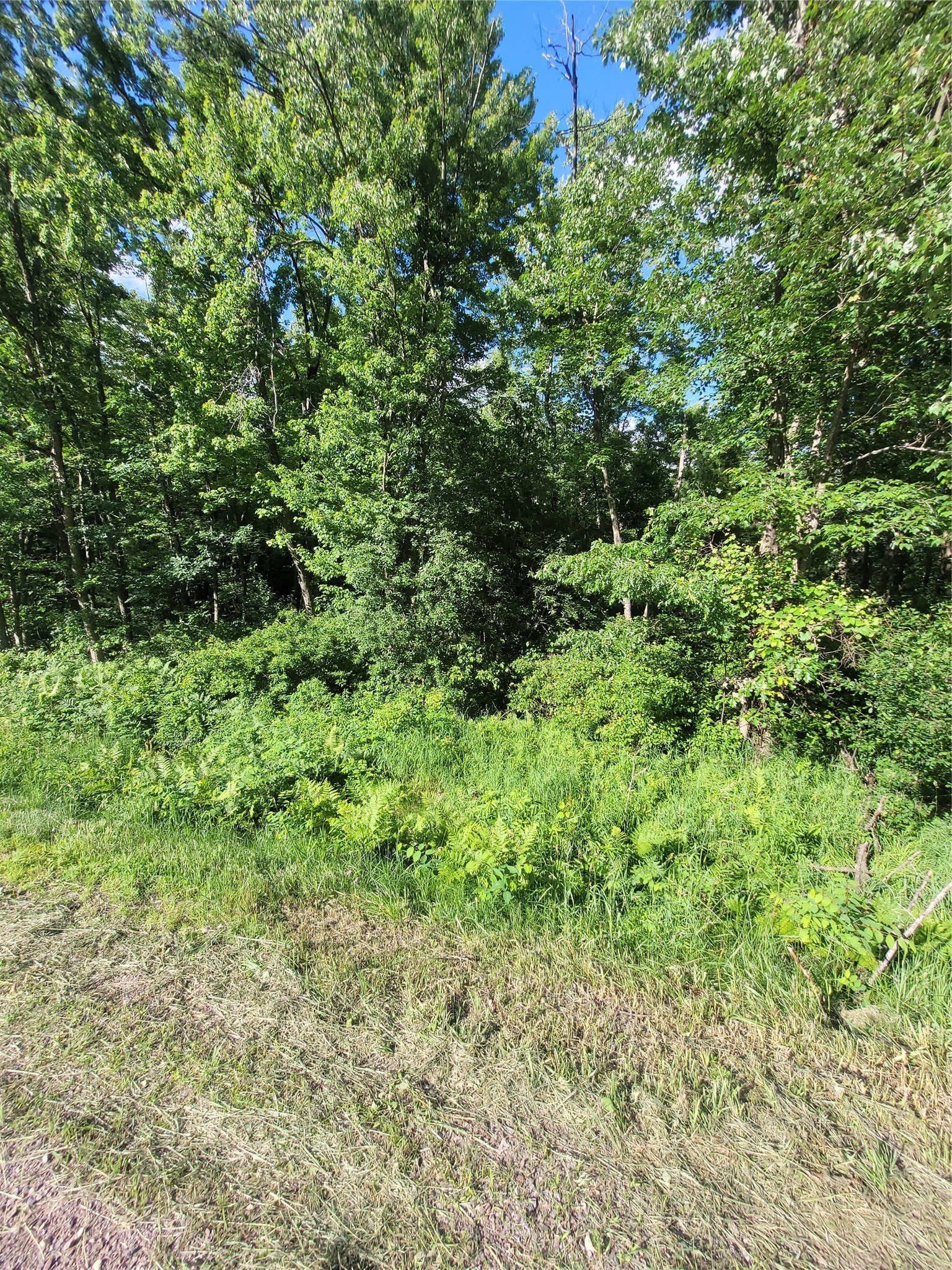 0 Lot 6 Old Highway12 Property Photo 8
