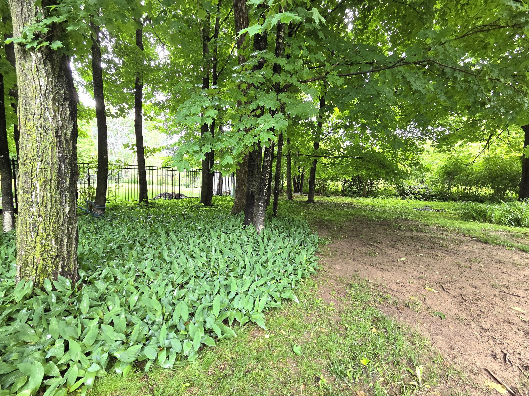 724 Pine Place Property Photo 39