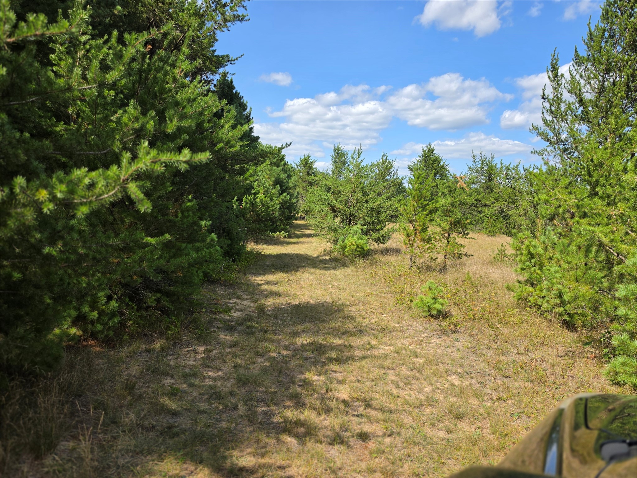 E19805 County Road Gg Property Photo 13