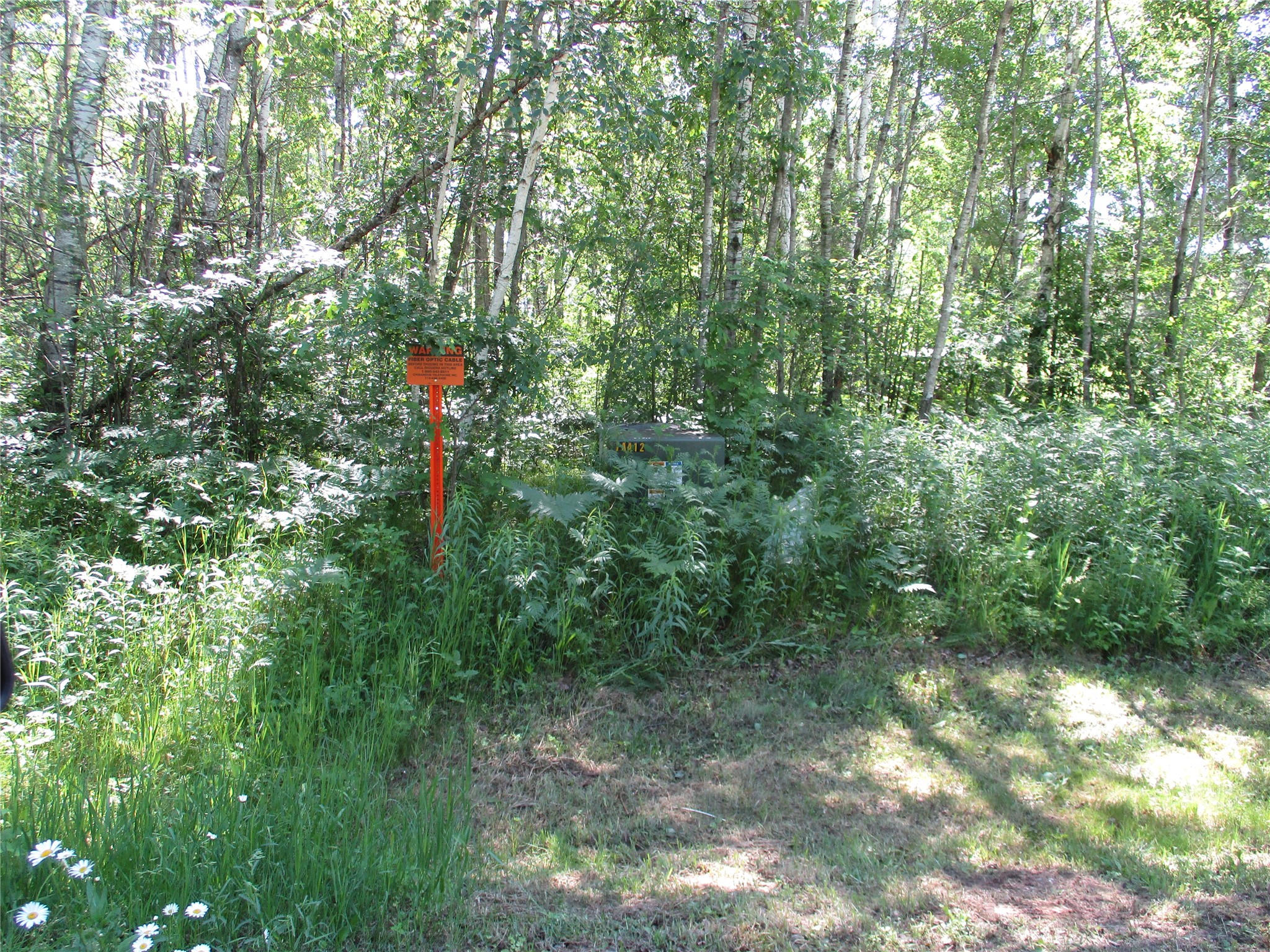 2884 29 7/8 Avenue Property Photo 38