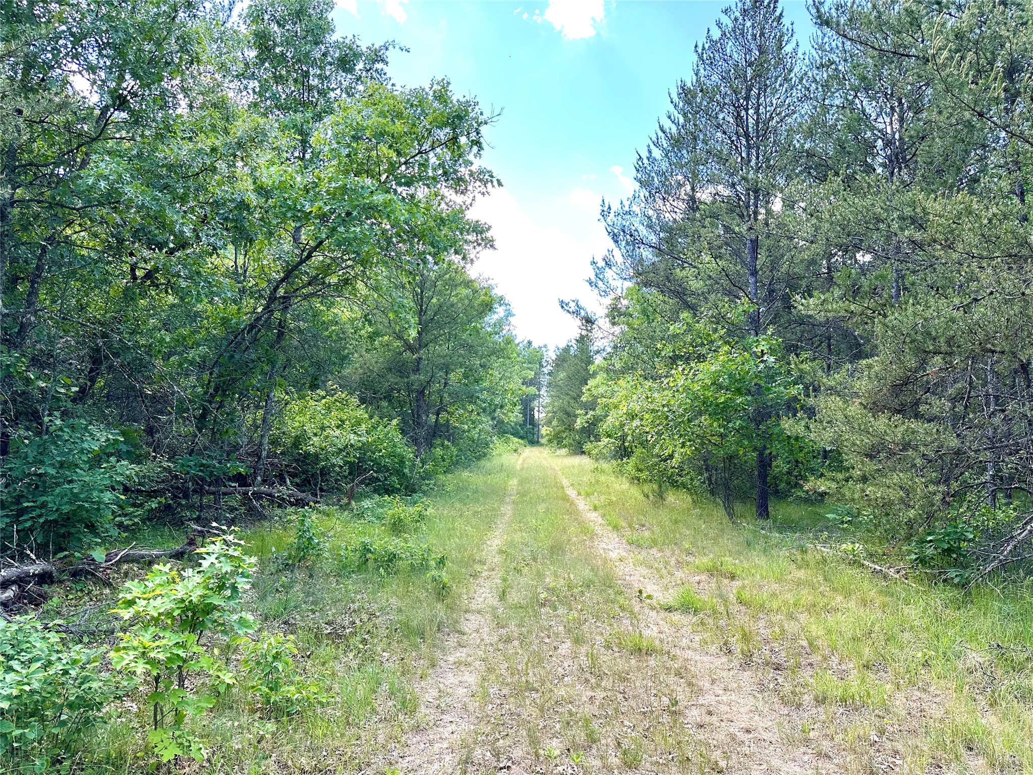 E20244 County Road Gg Property Photo 6