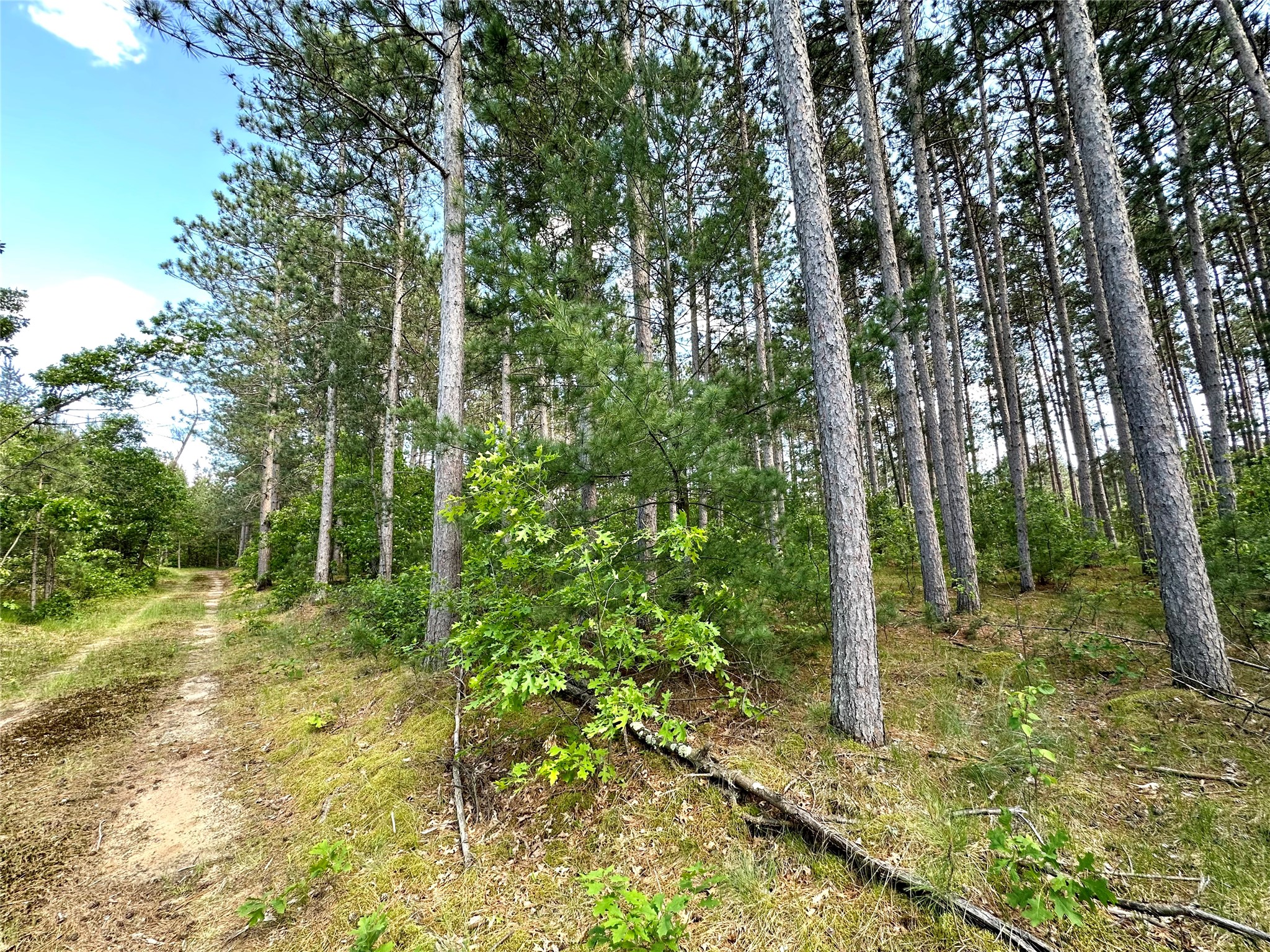E20244 County Road Gg Property Photo 15