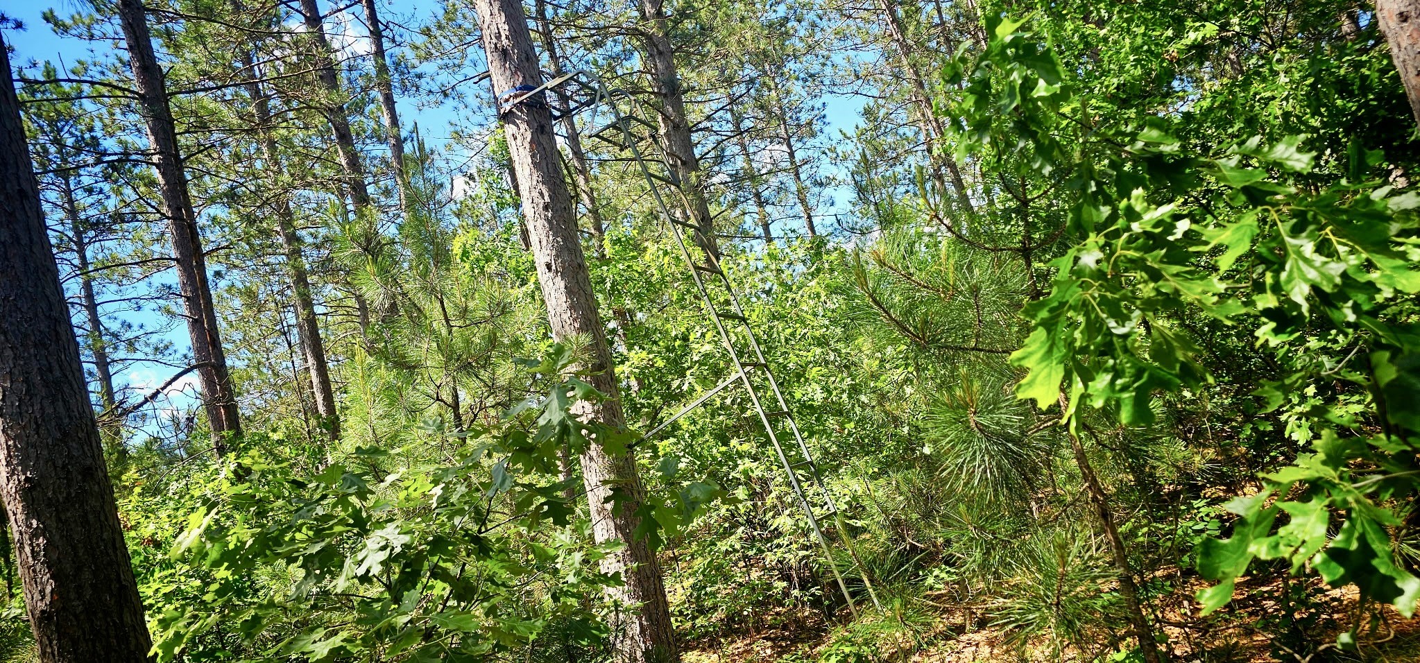 E20244 County Road Gg Property Photo 17