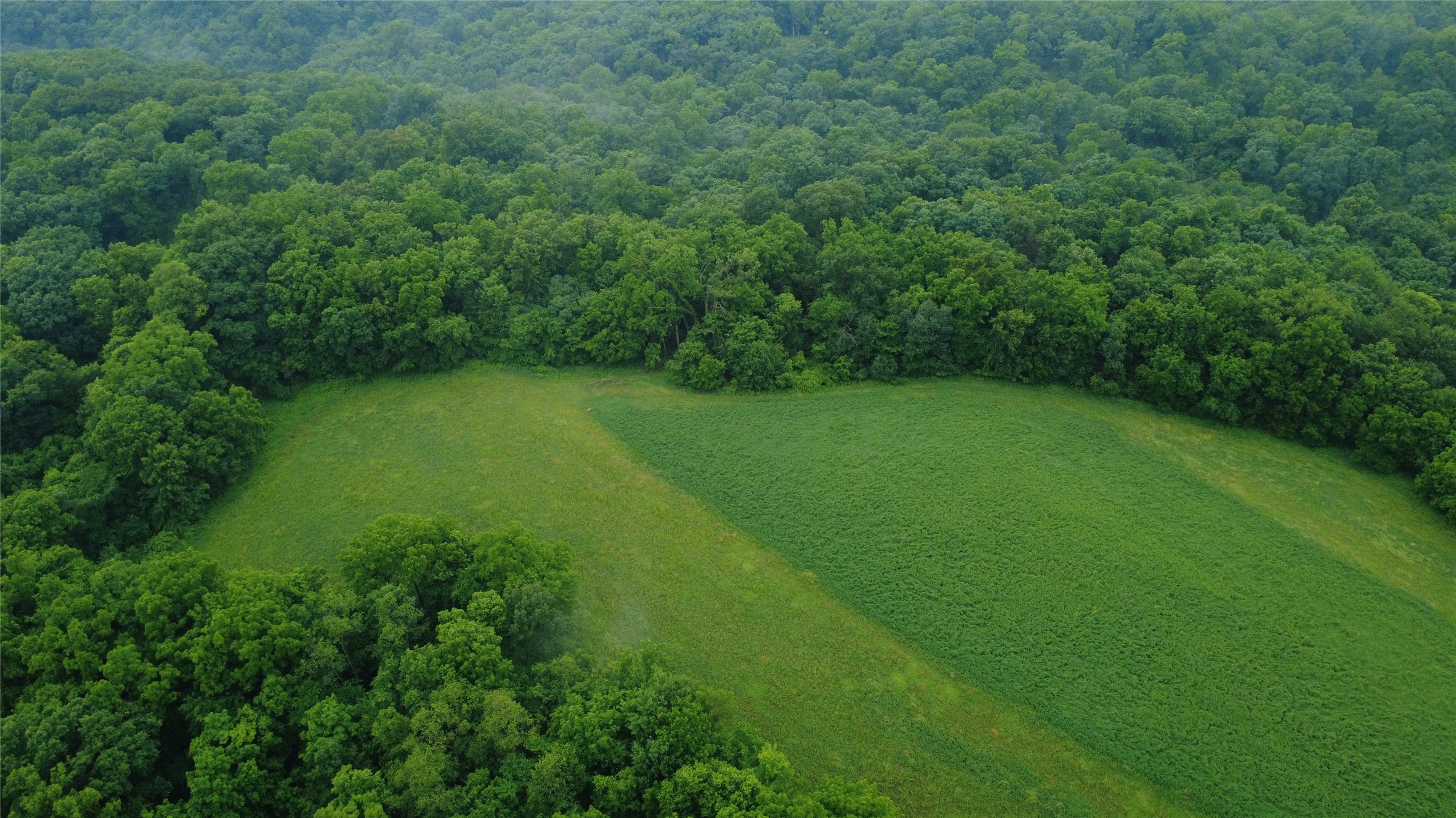 000 Irish Ridge Road Property Photo 14