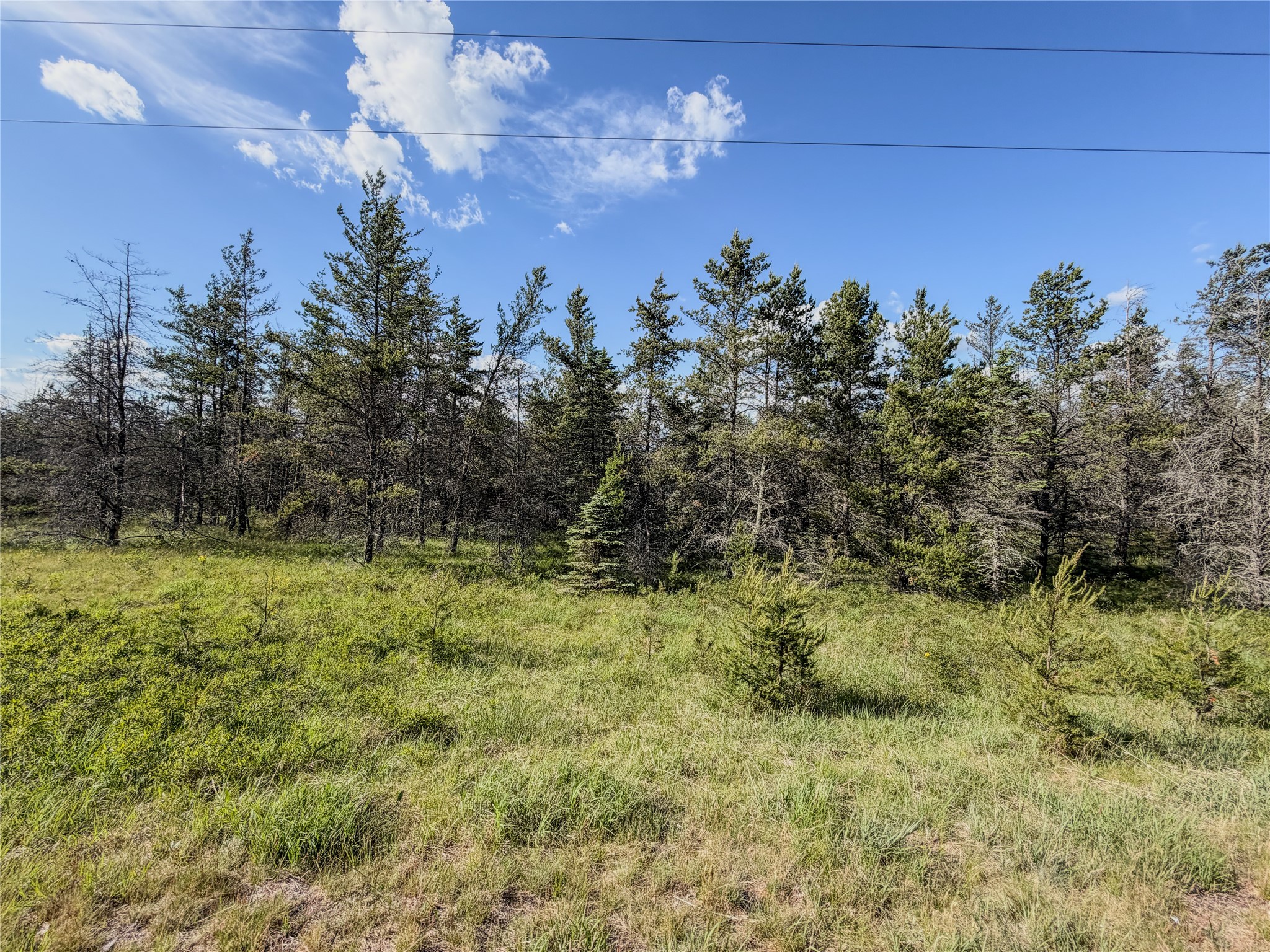 0 County Road Y Property Photo 3