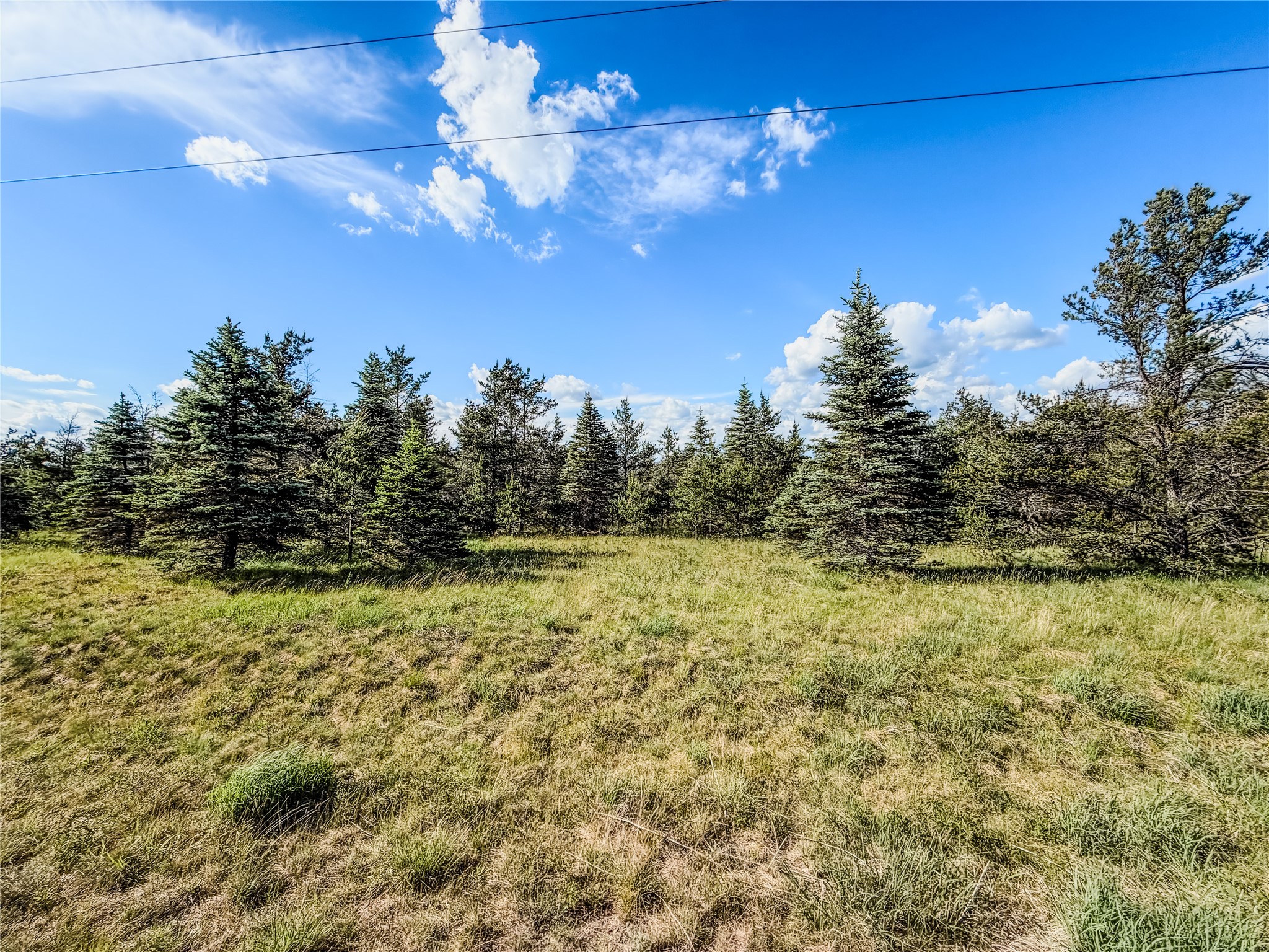 0 County Road Y Property Photo 22