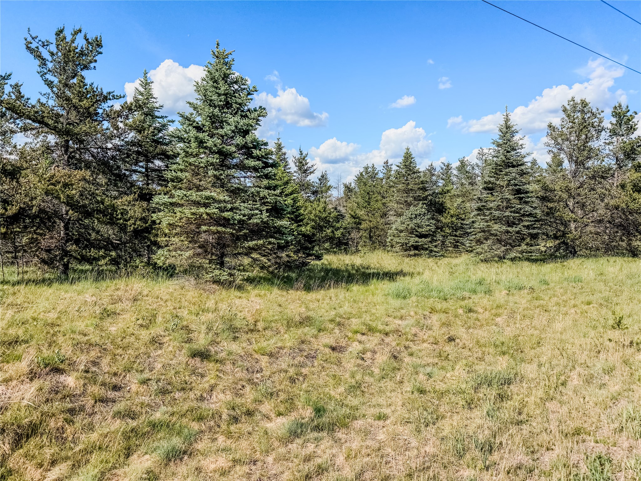 0 County Road Y Property Photo 23