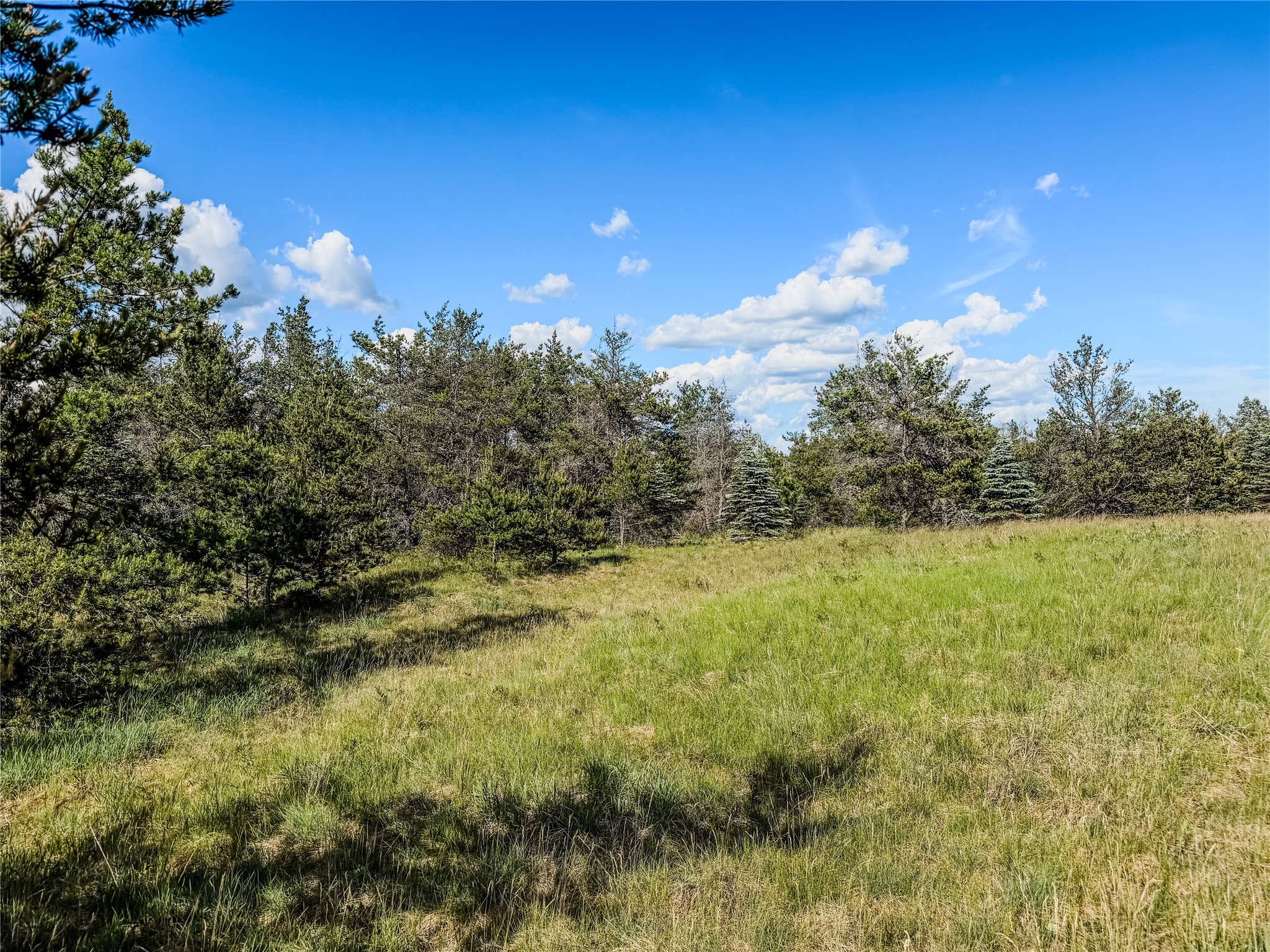 0 County Road Y Property Photo 24