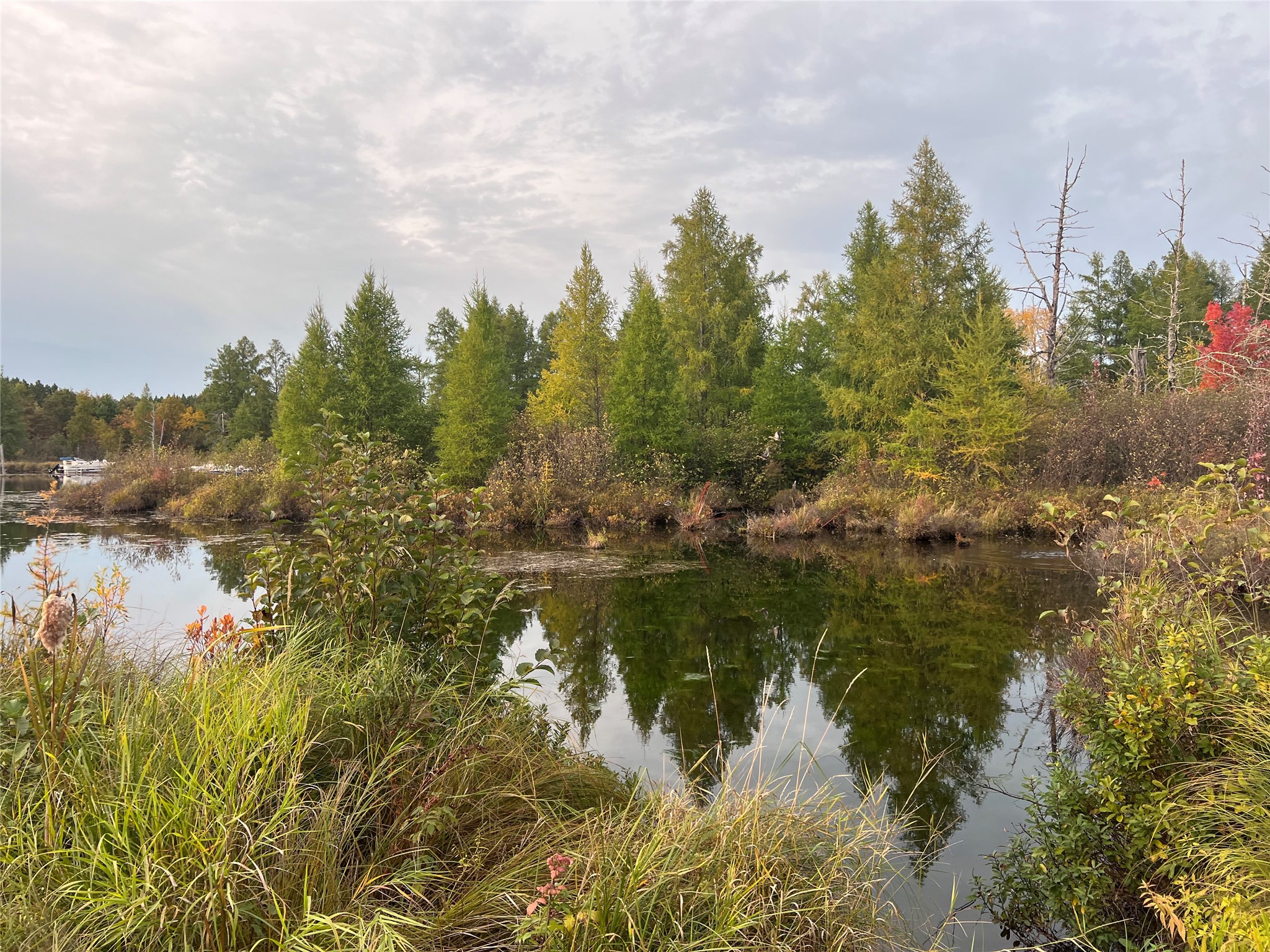 Lot 8 Secluded Lane Property Photo 7