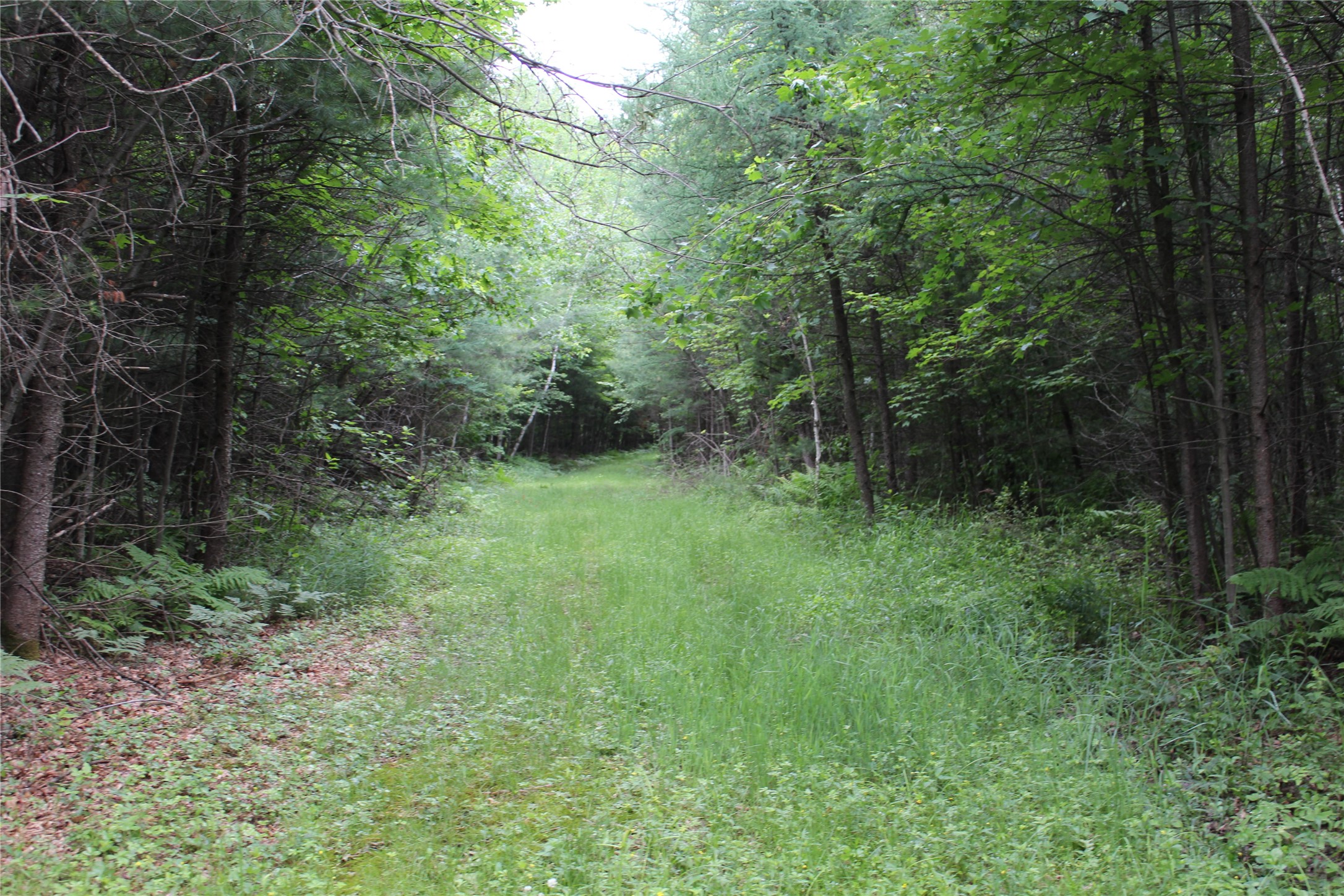 00 Rouse Road Property Photo 13