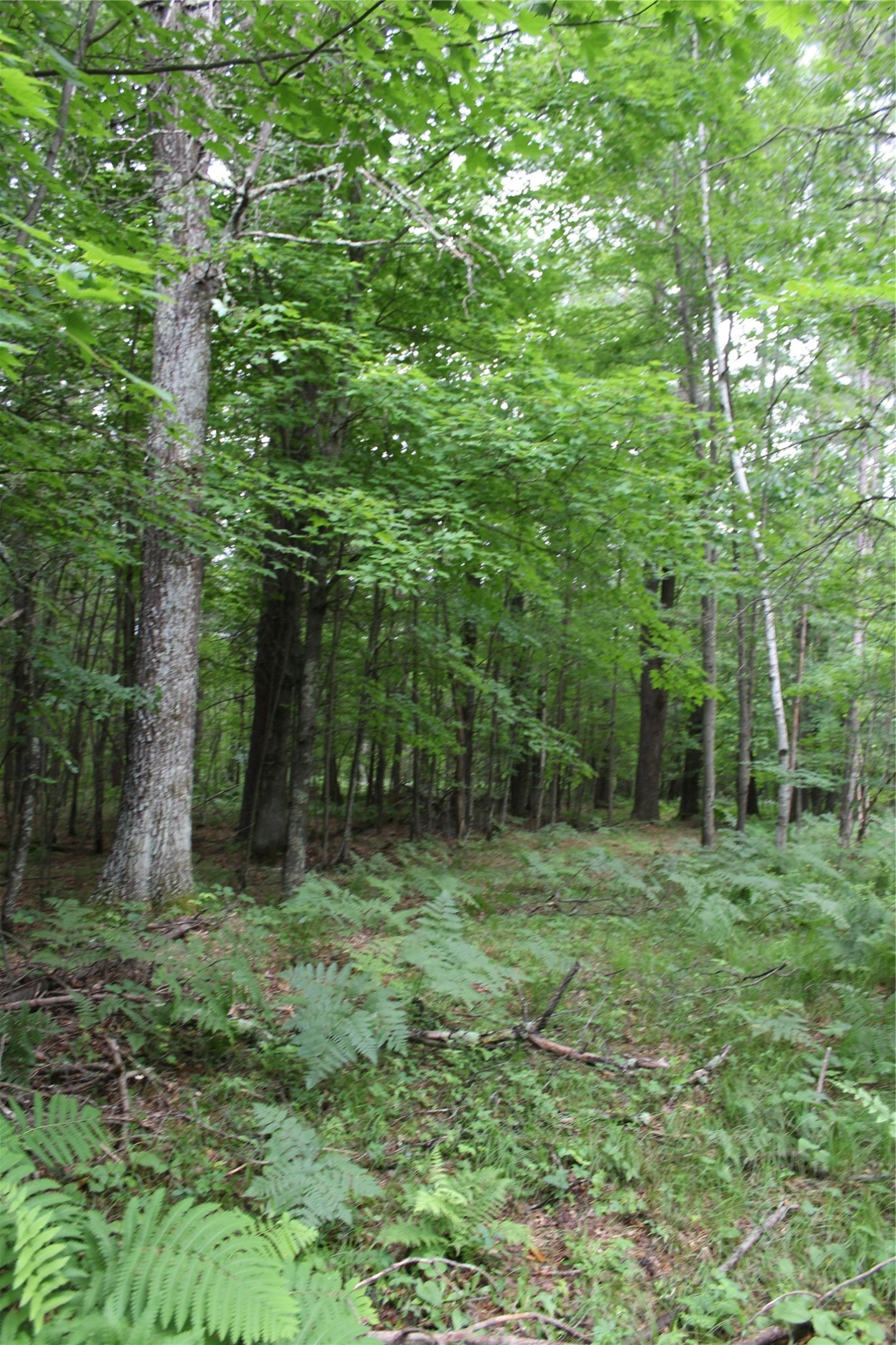 00 Rouse Road Property Photo 16