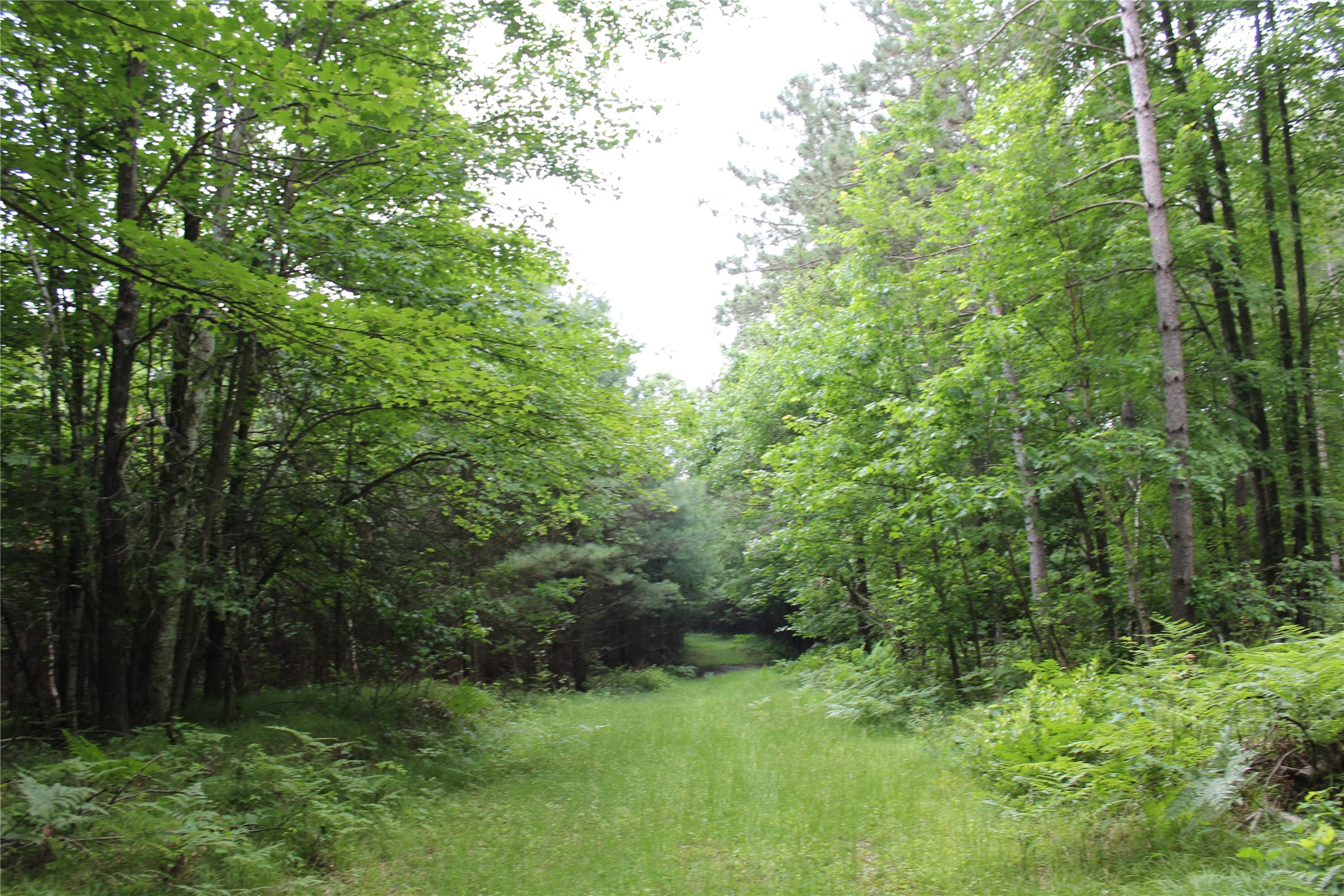 00 Rouse Road Property Photo 21