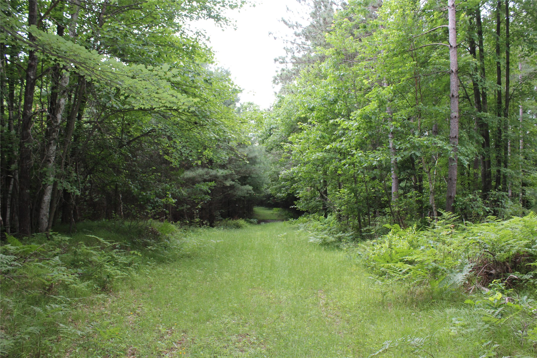 00 Rouse Road Property Photo 24
