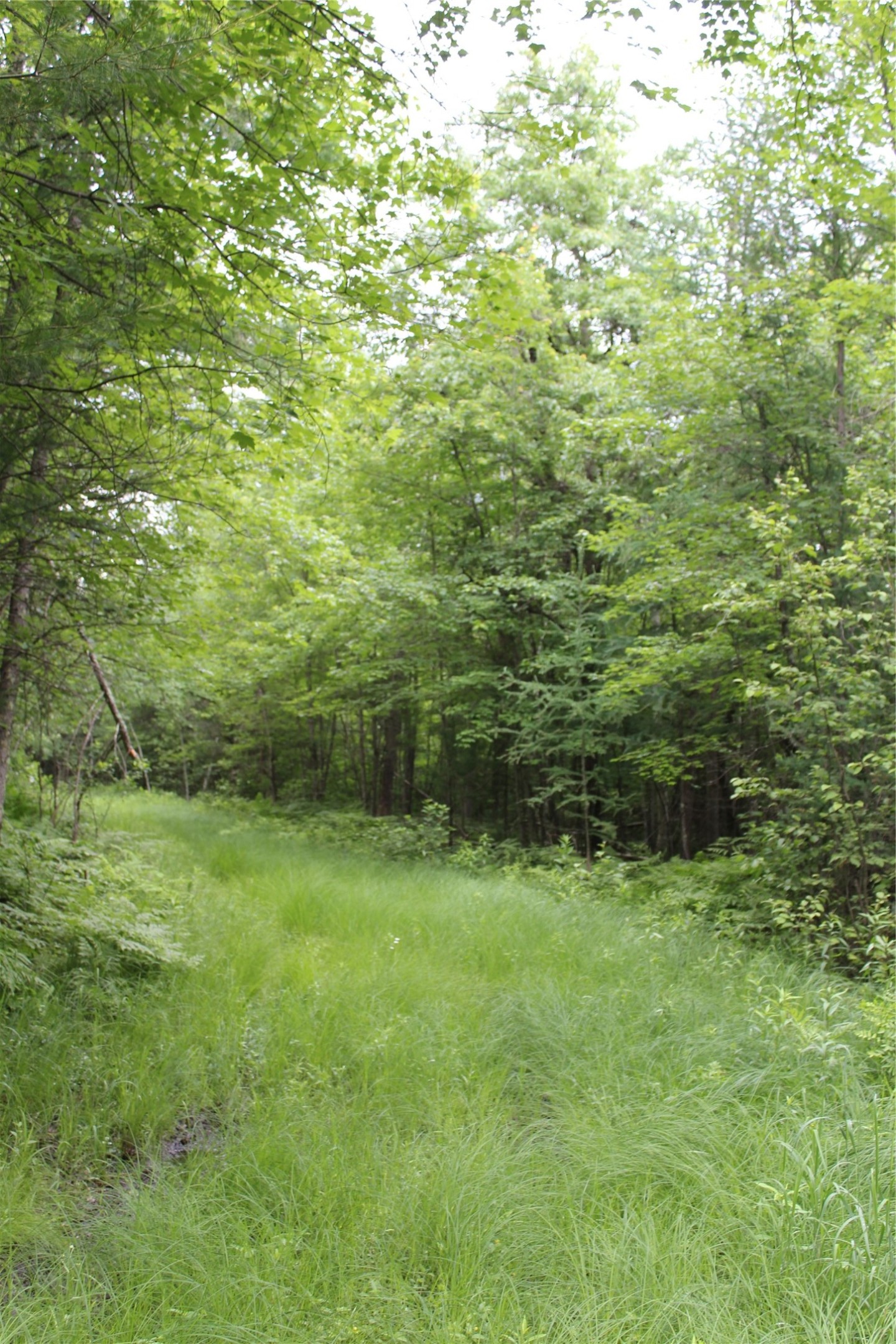 00 Rouse Road Property Photo 30