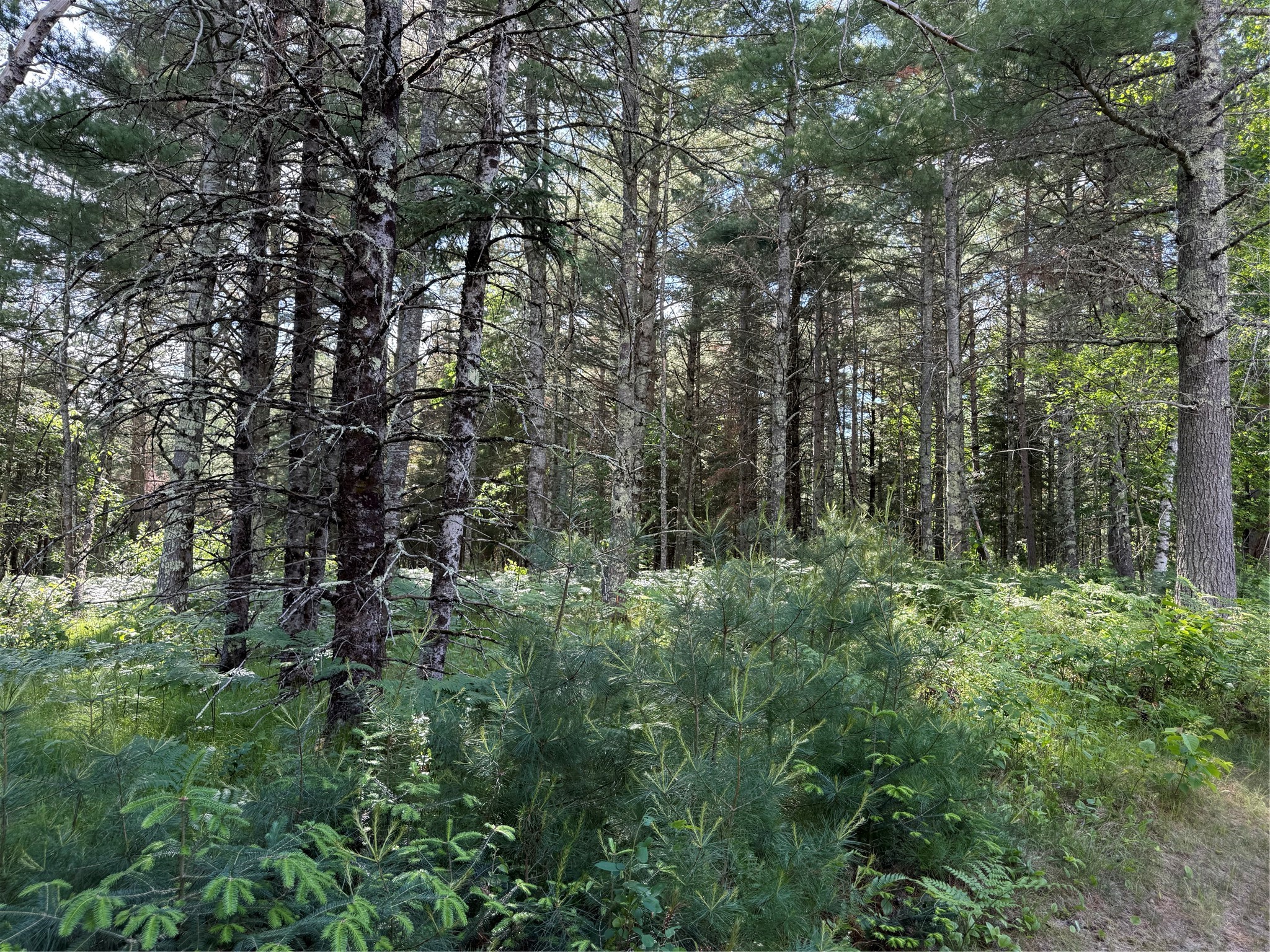 42765 Kavanaugh Road Property Photo 39