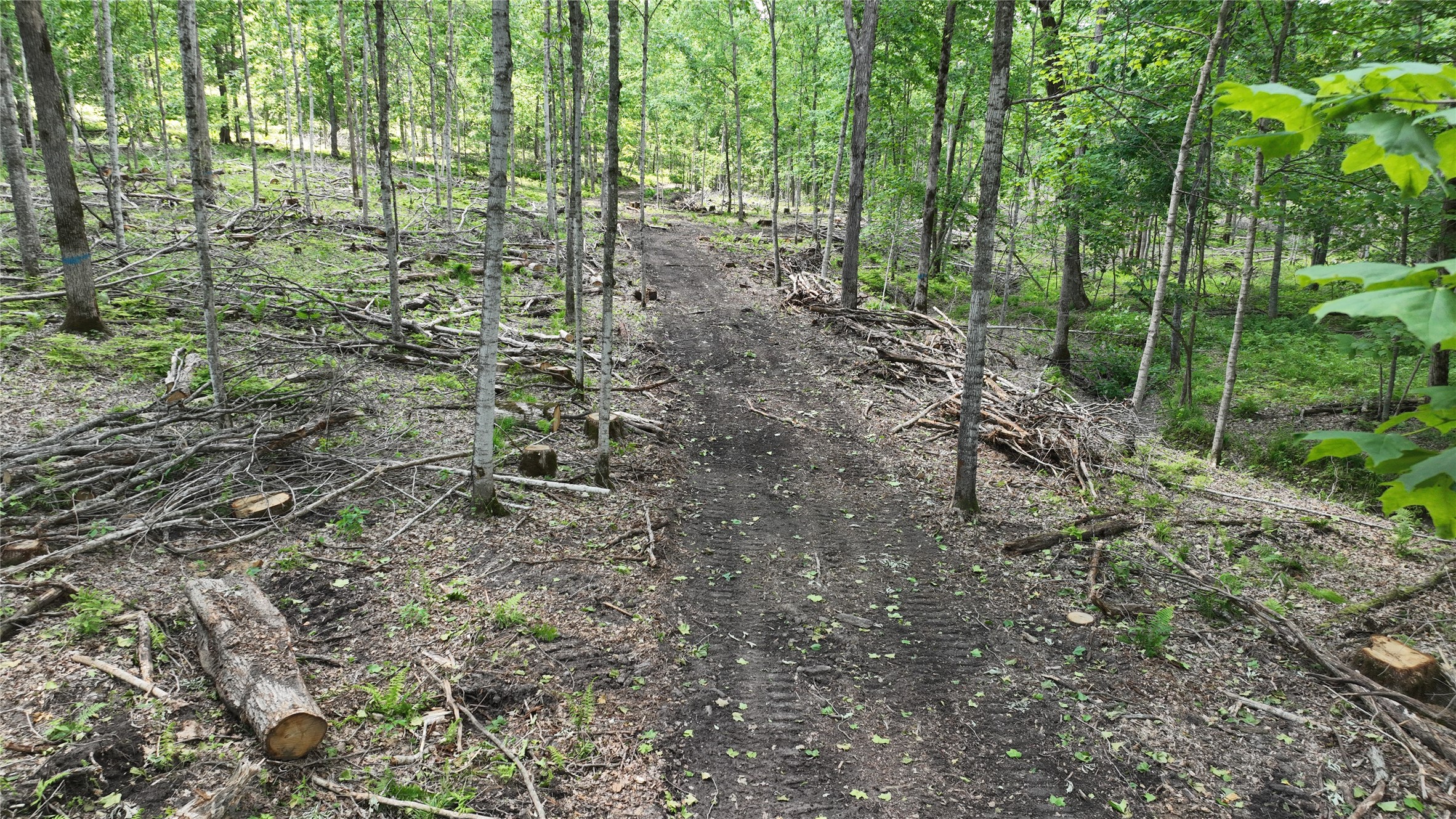 Xx County Road Q Property Photo 37