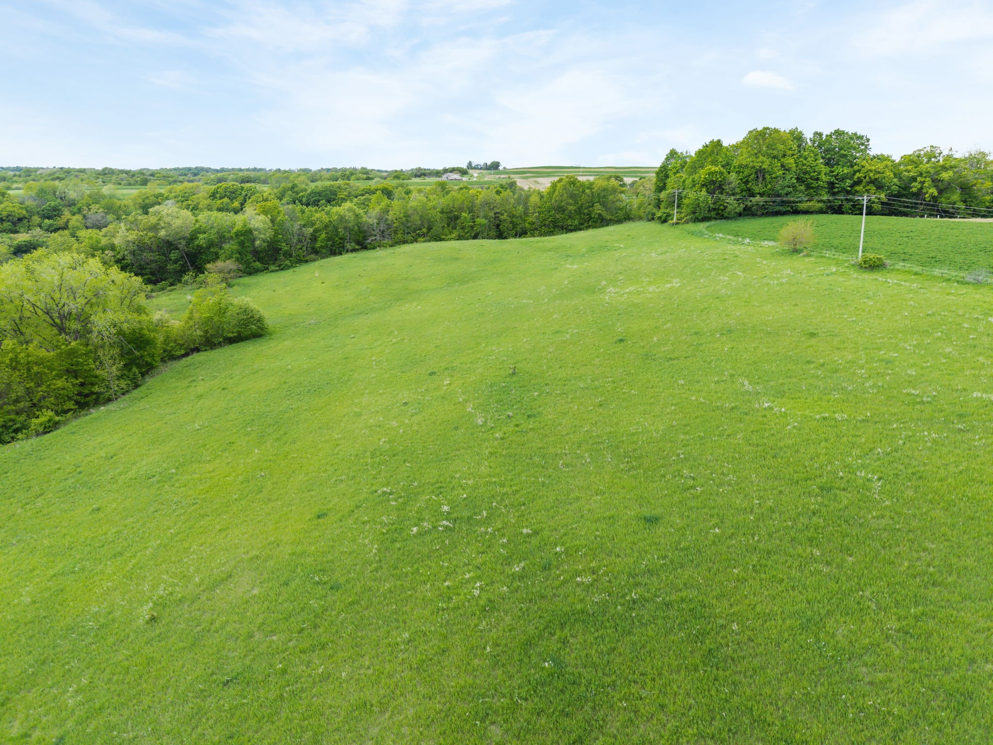 S9761 Little Bear Road Property Photo 7