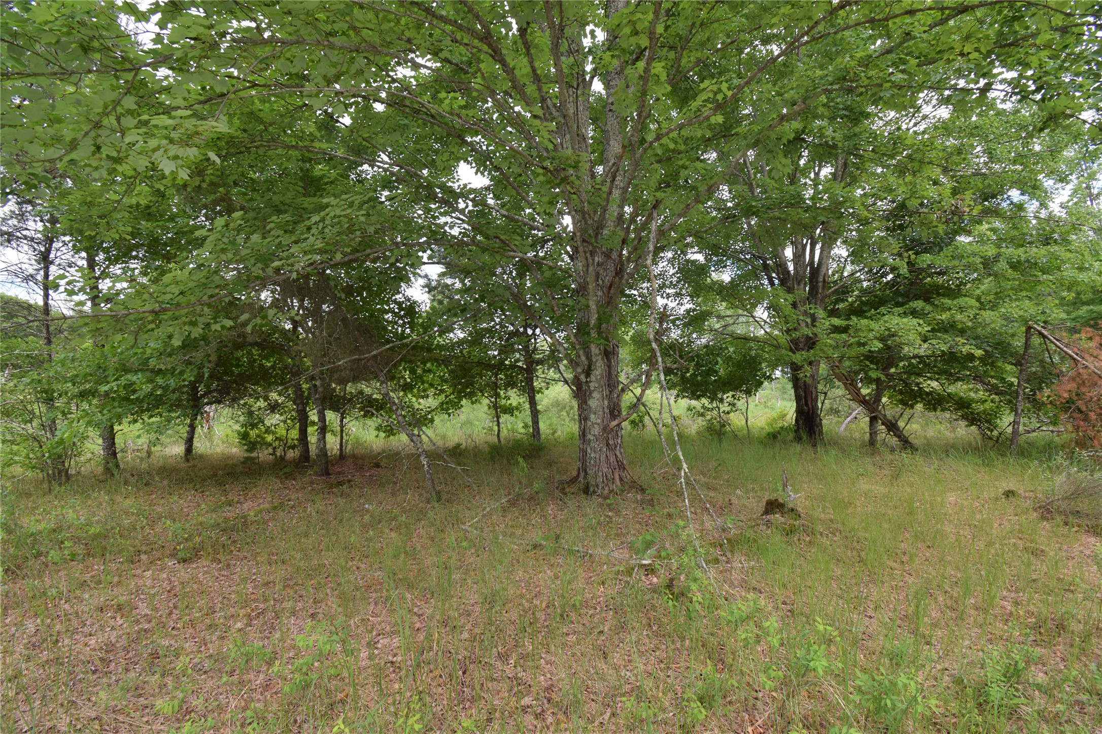 25385 Spaulding Road Property Photo 1