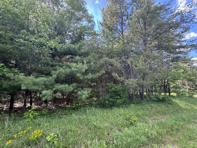 25385 Spaulding Road Property Photo 3