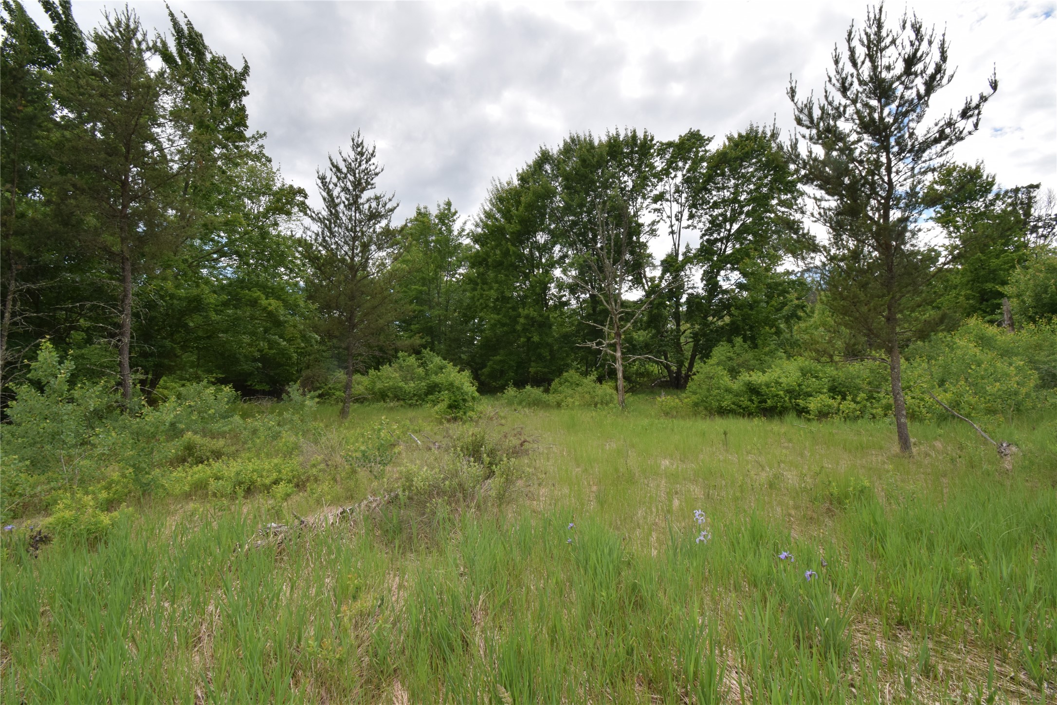 25385 Spaulding Road Property Photo 4