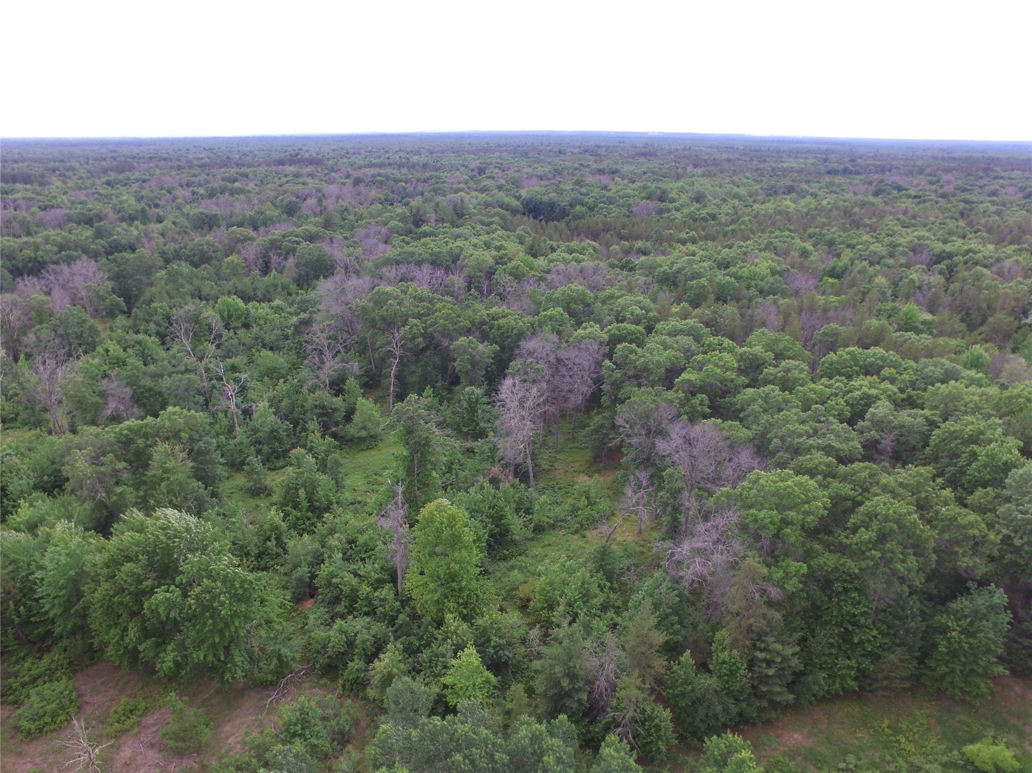 25385 Spaulding Road Property Photo 5