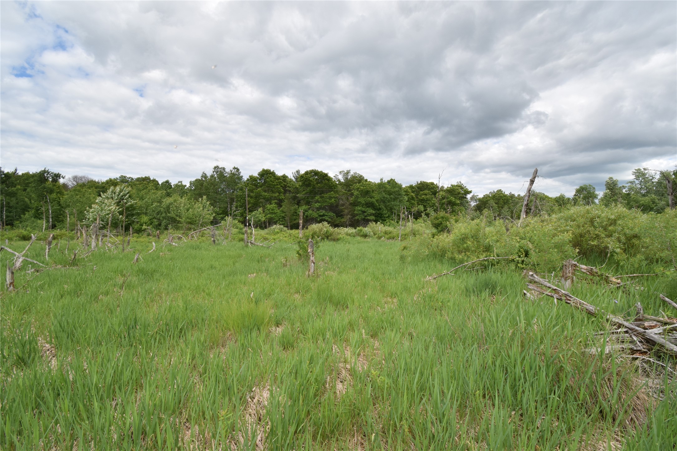 25385 Spaulding Road Property Photo 6