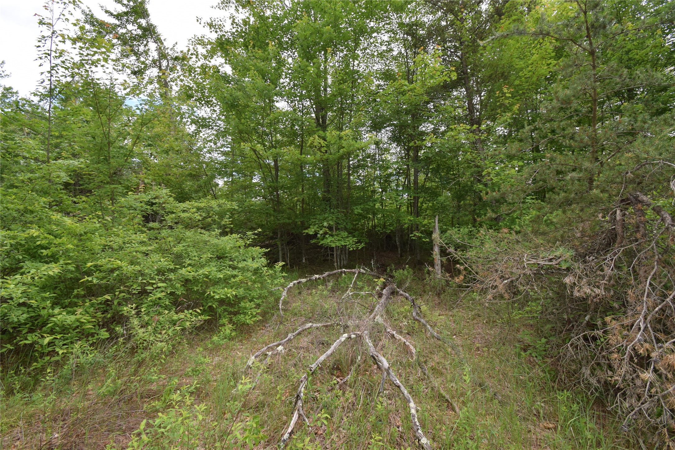 25385 Spaulding Road Property Photo 8