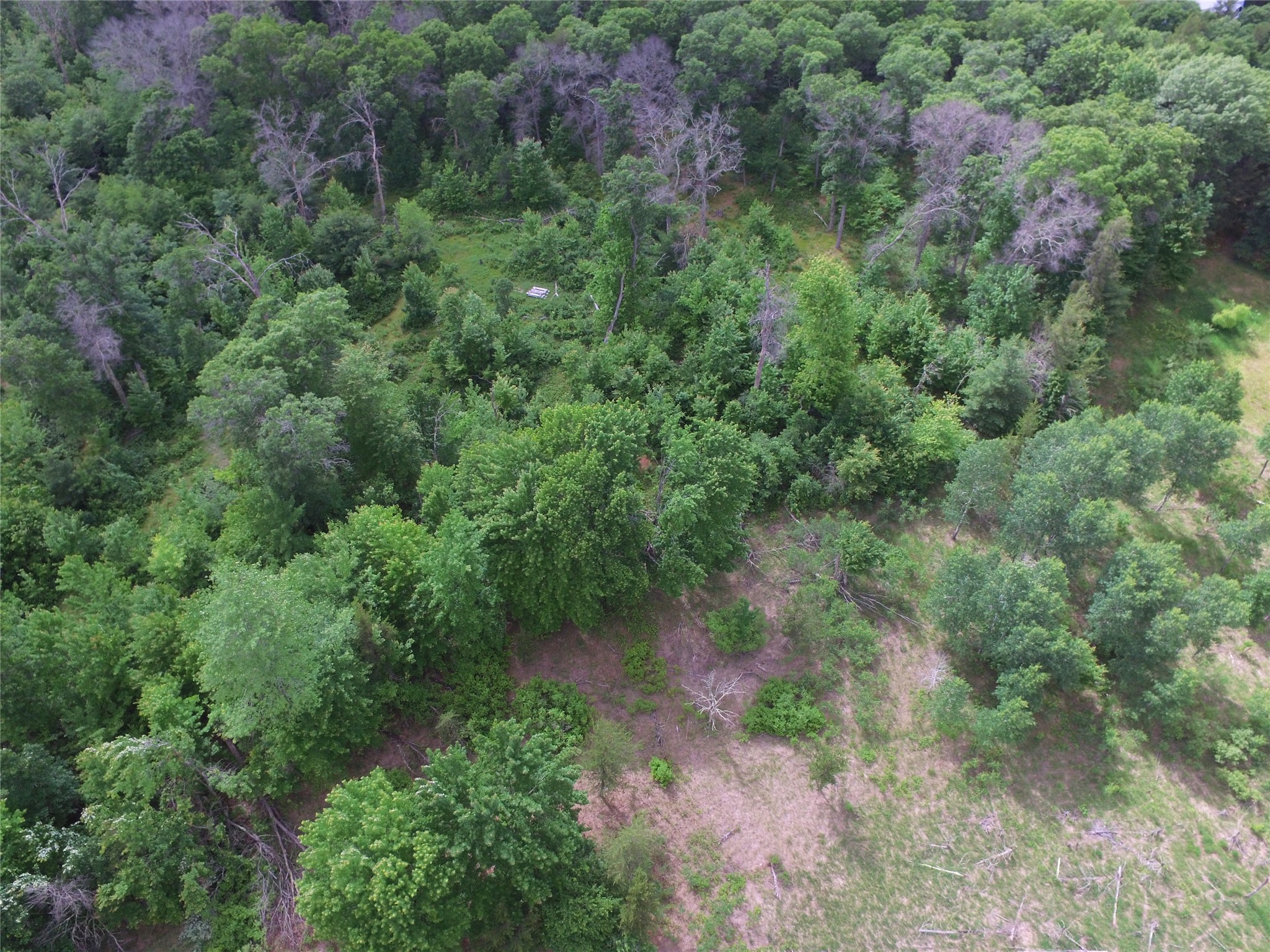 25385 Spaulding Road Property Photo 10