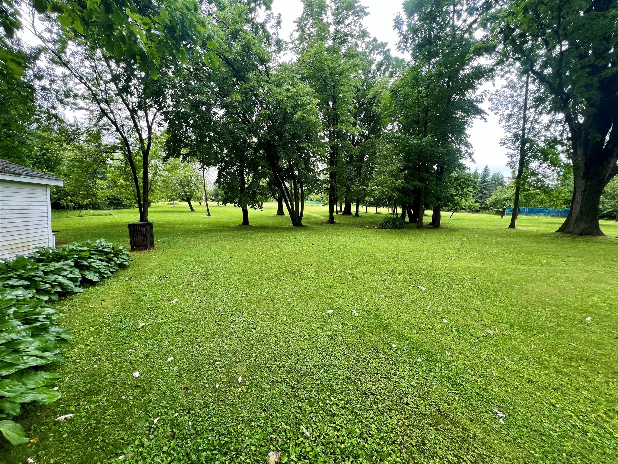 1860 4th Street Property Photo 11