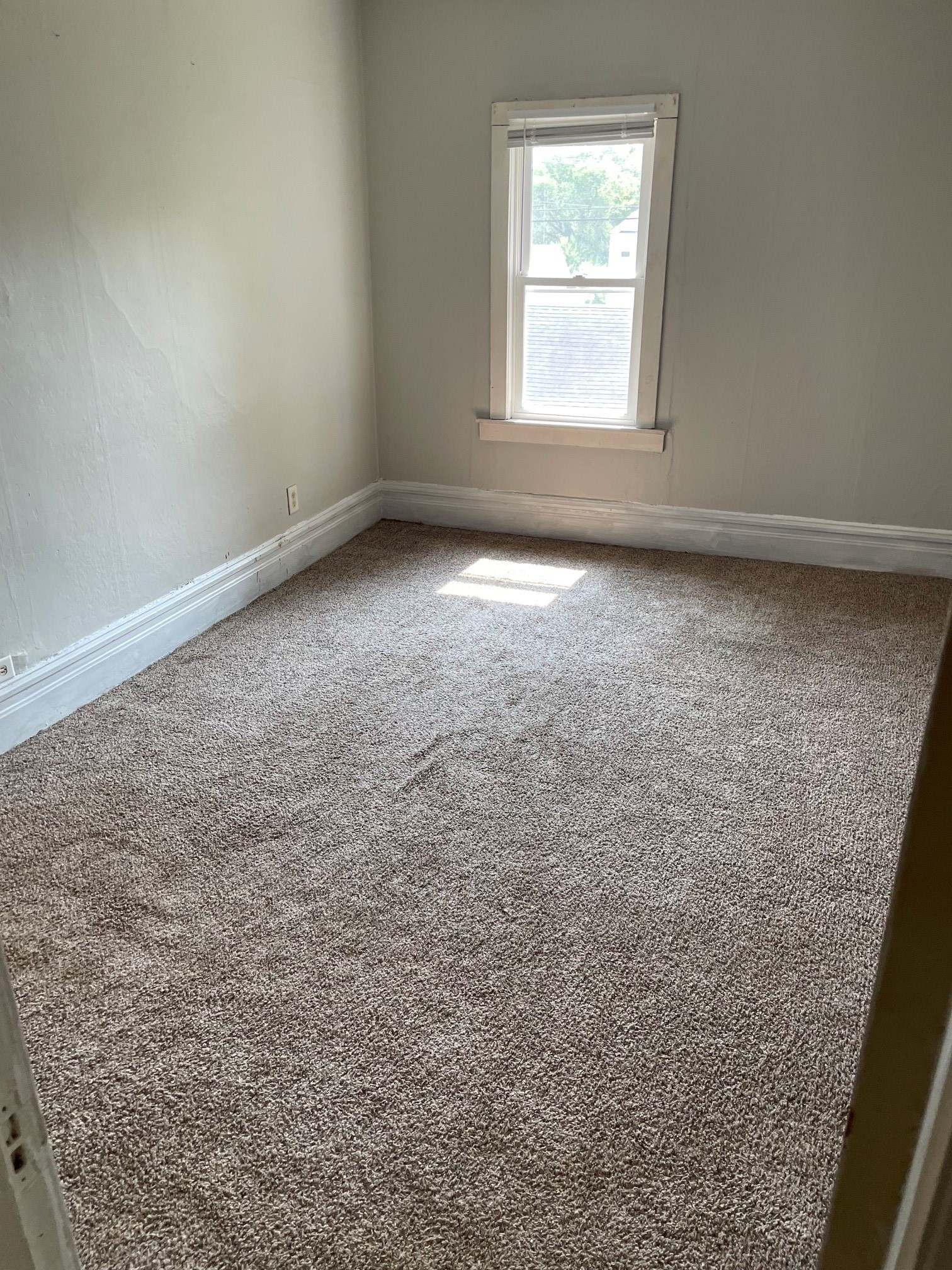433 Vine Street 3 Property Photo 7