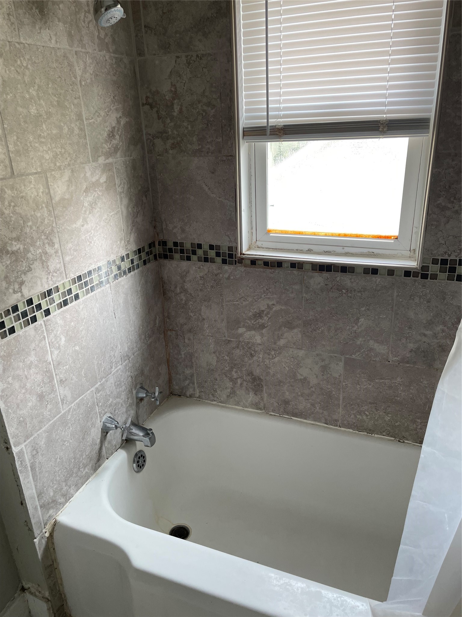 433 Vine Street 3 Property Photo 8