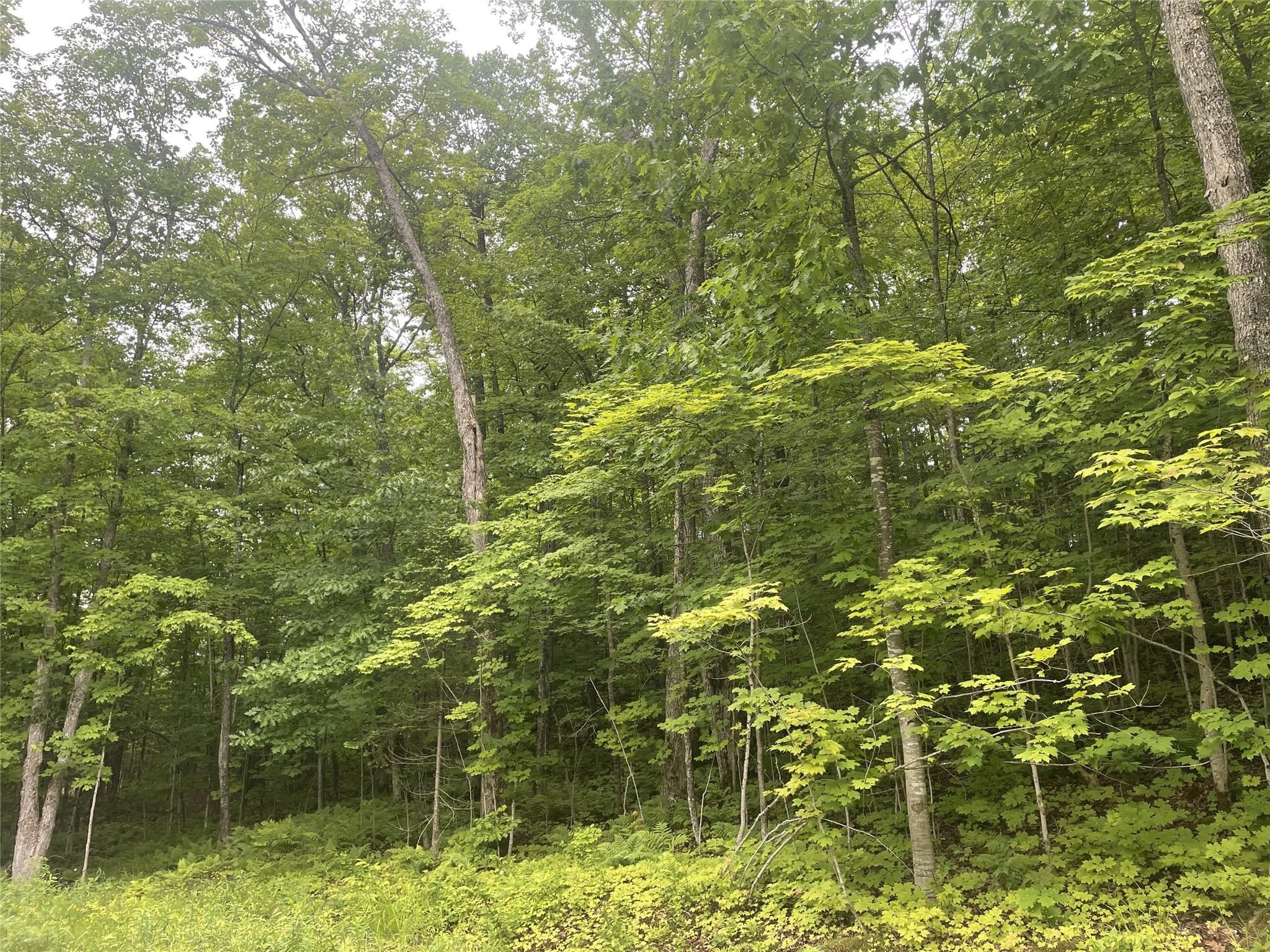 71224 Thole Road Property Photo 8