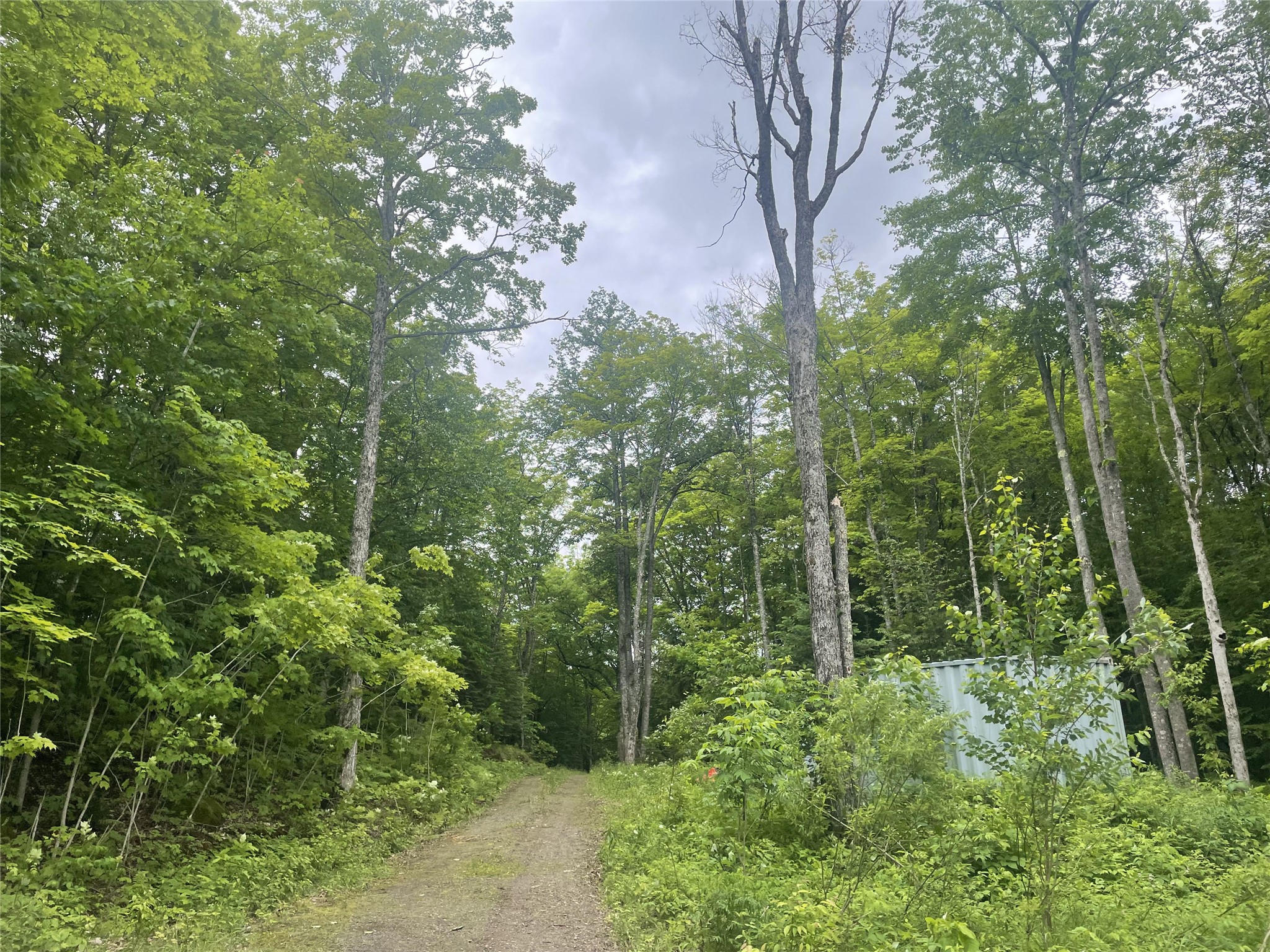 71224 Thole Road Property Photo 25